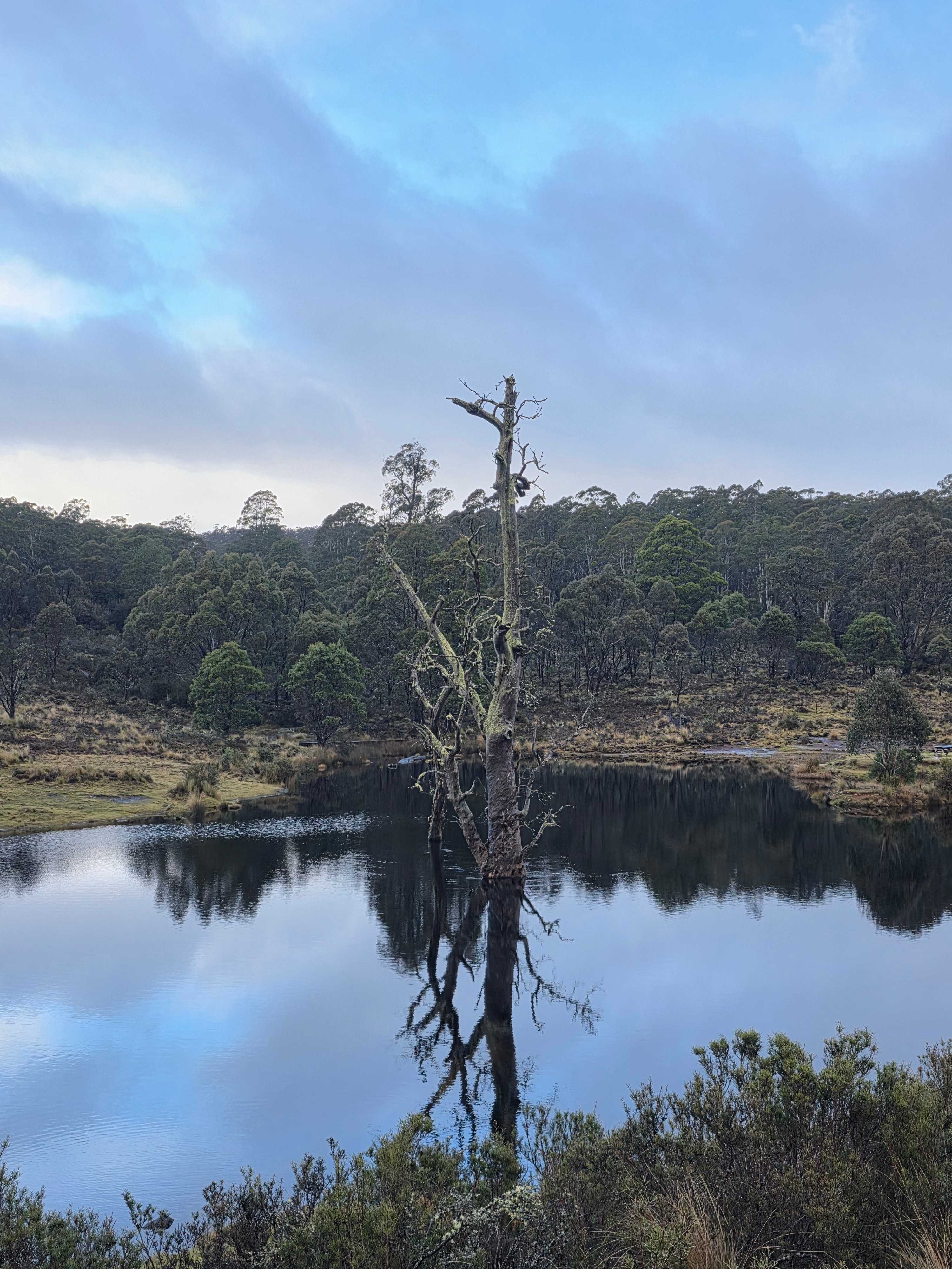 Cradle Mountain Fishery and Camping