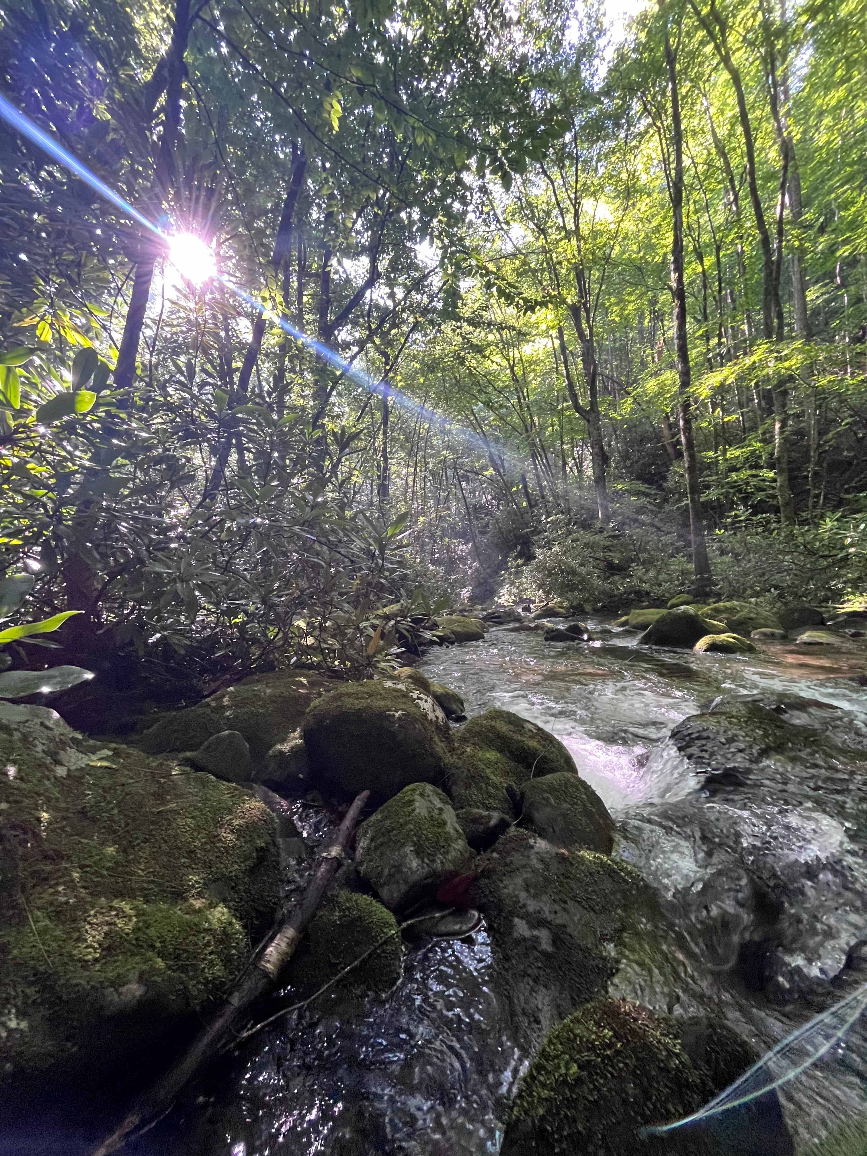 Creek side 1