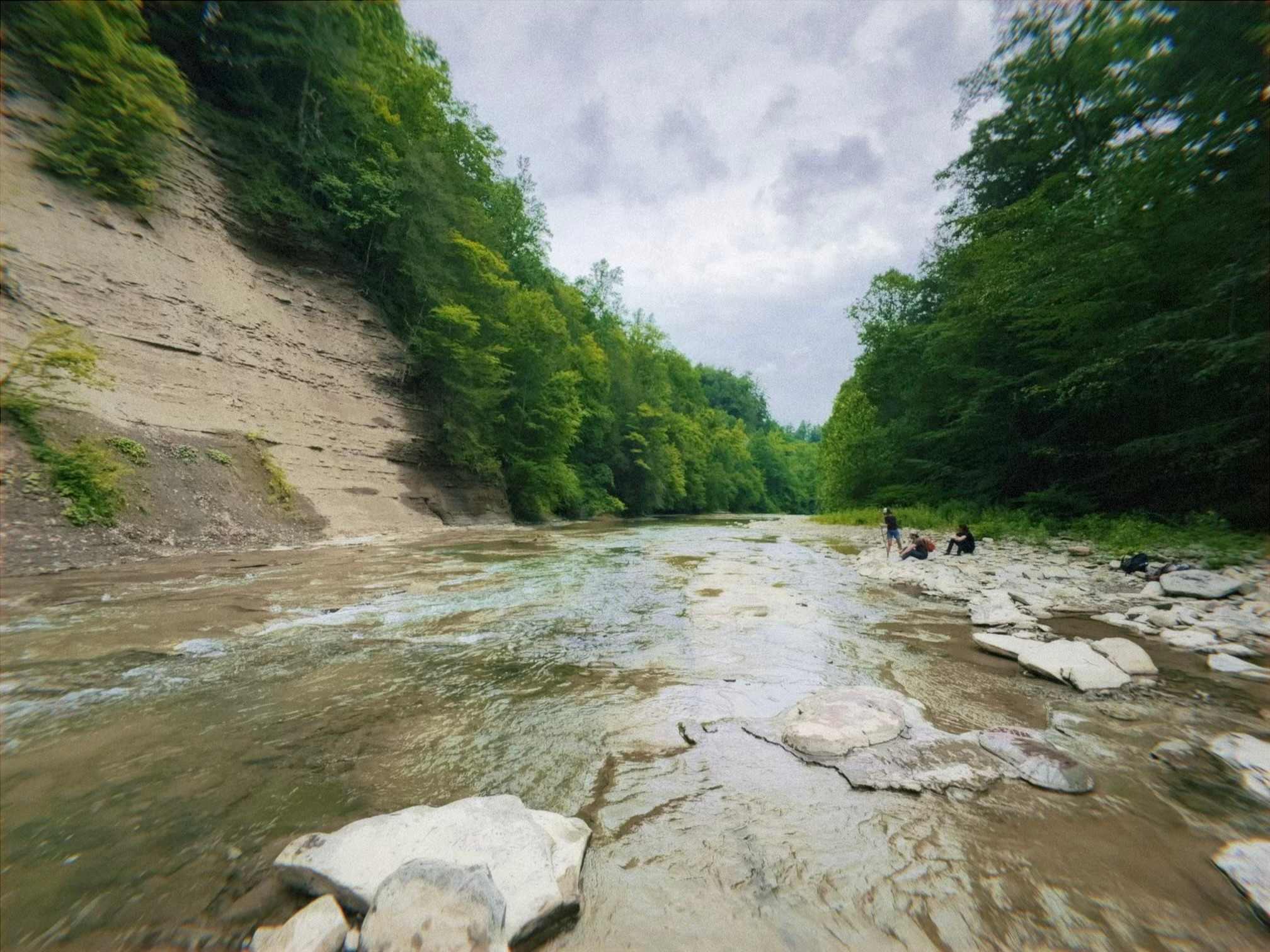 Zoar Valley Forest Retreat
