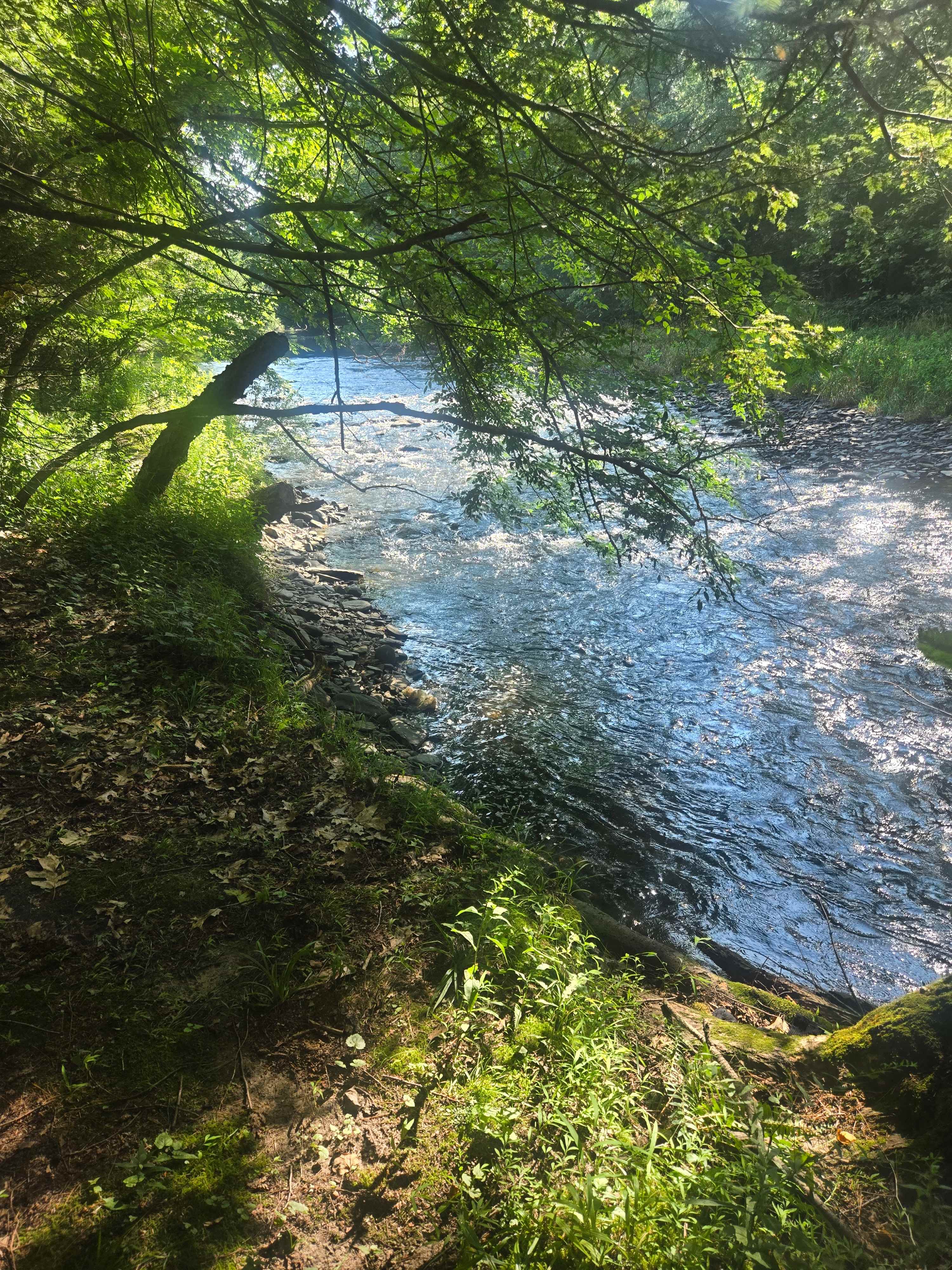 Forks Farm Campground