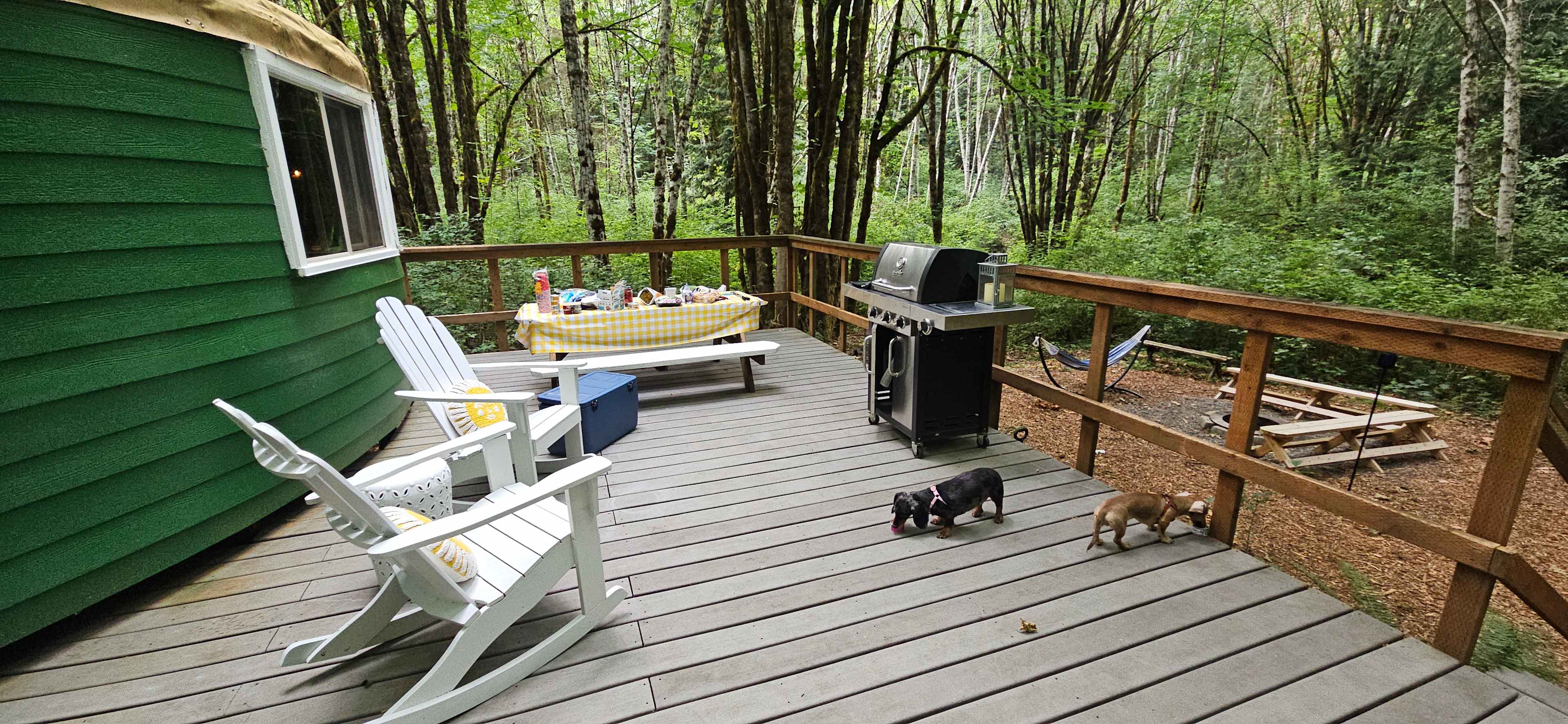 Secluded Forest Yurt