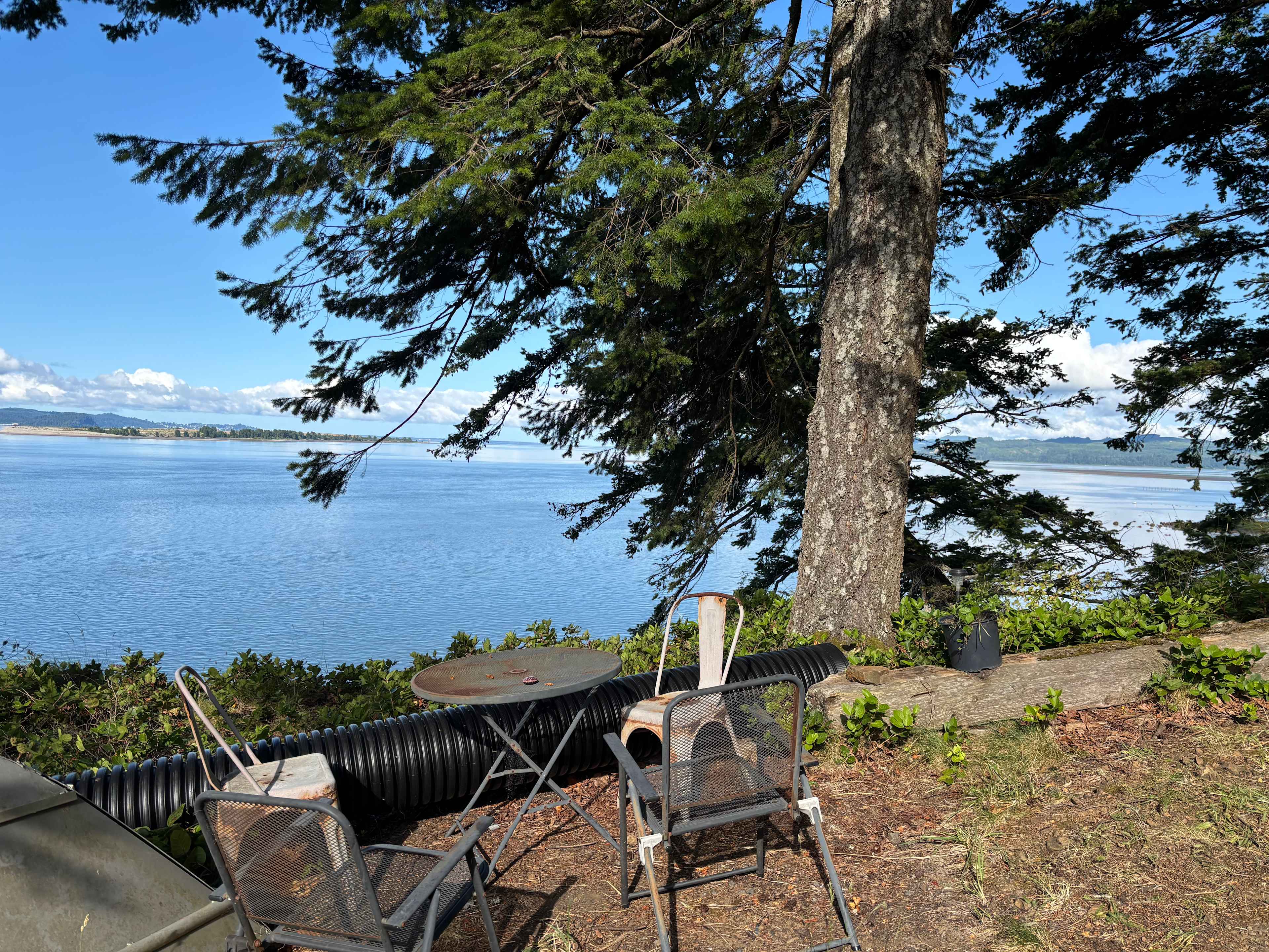 Otter Cove
