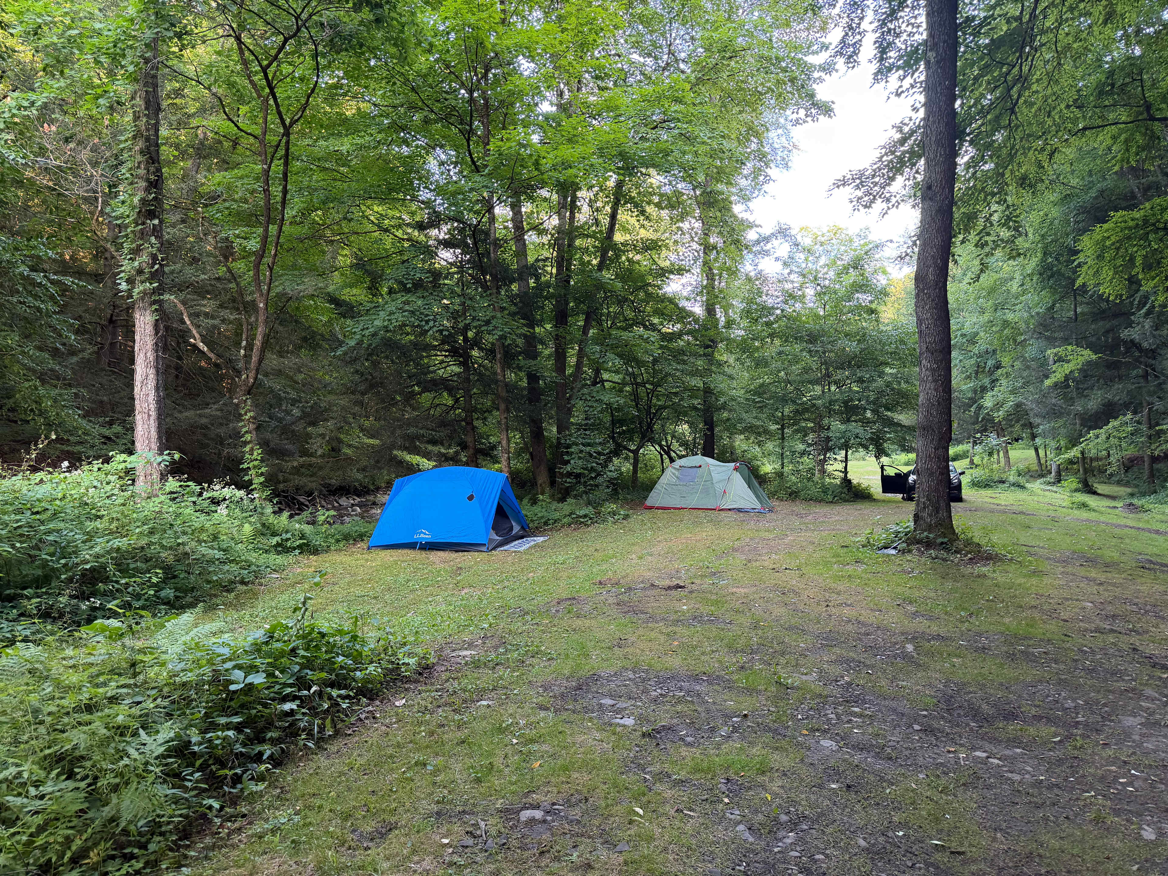 Towner's Country Paradise