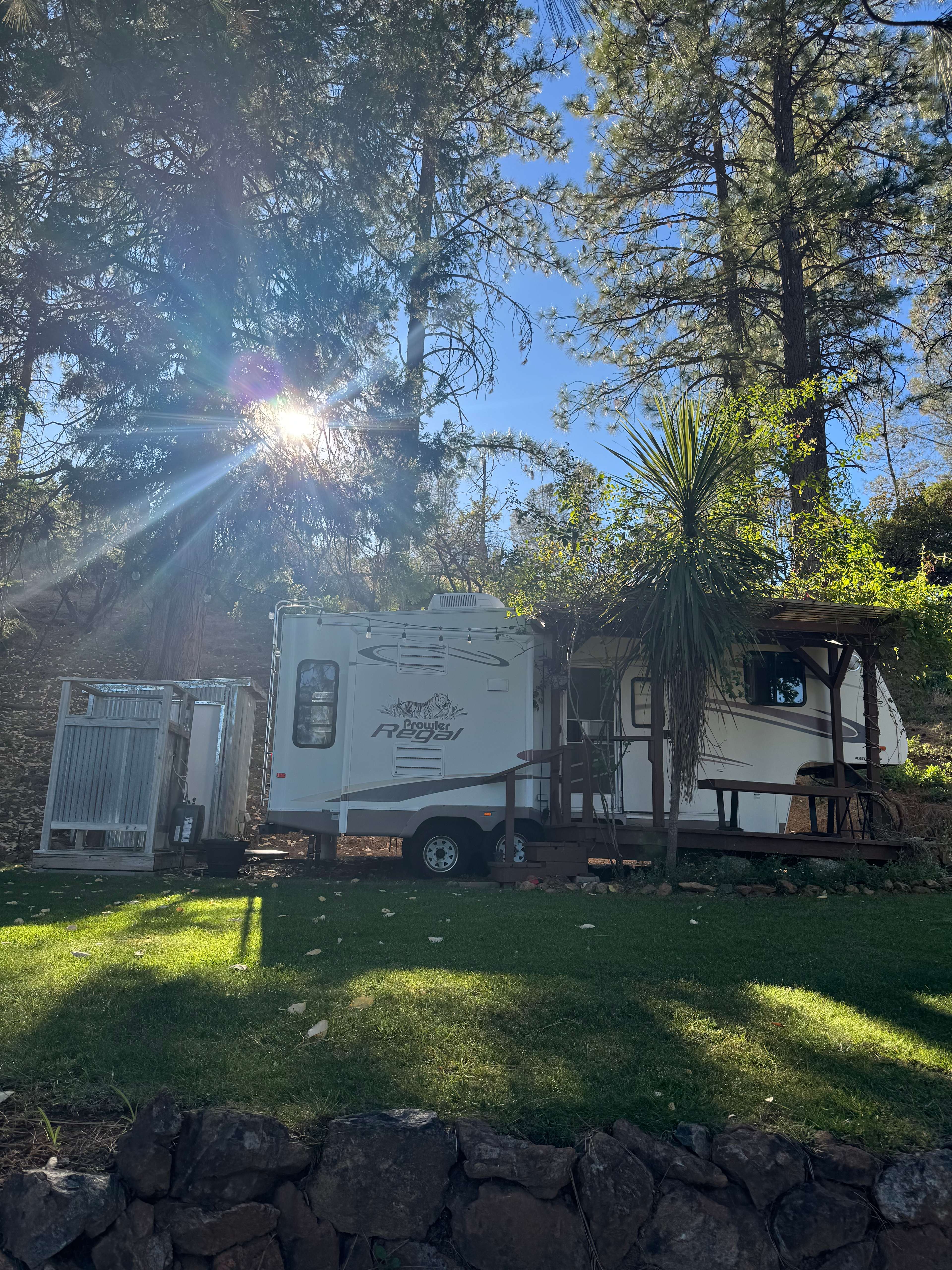 Peace in the Pines