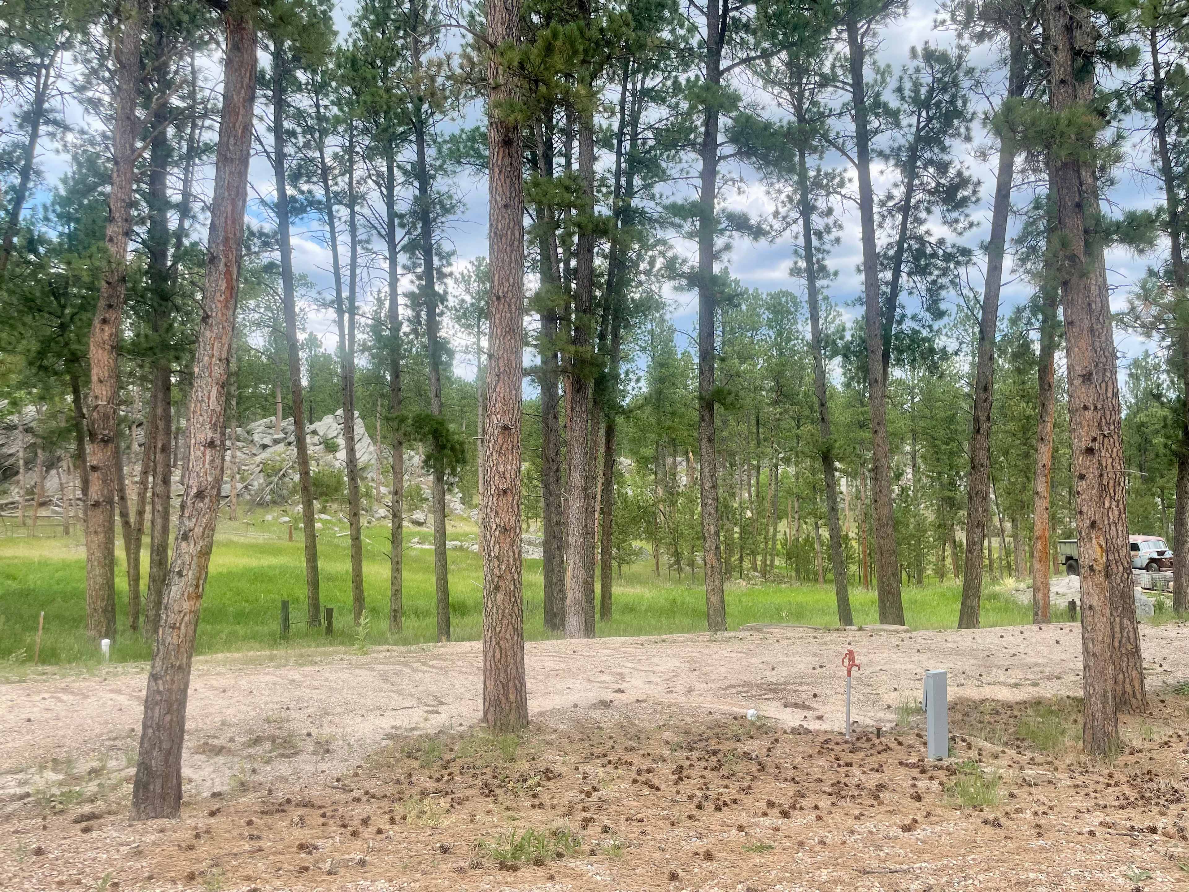 Picture of the site