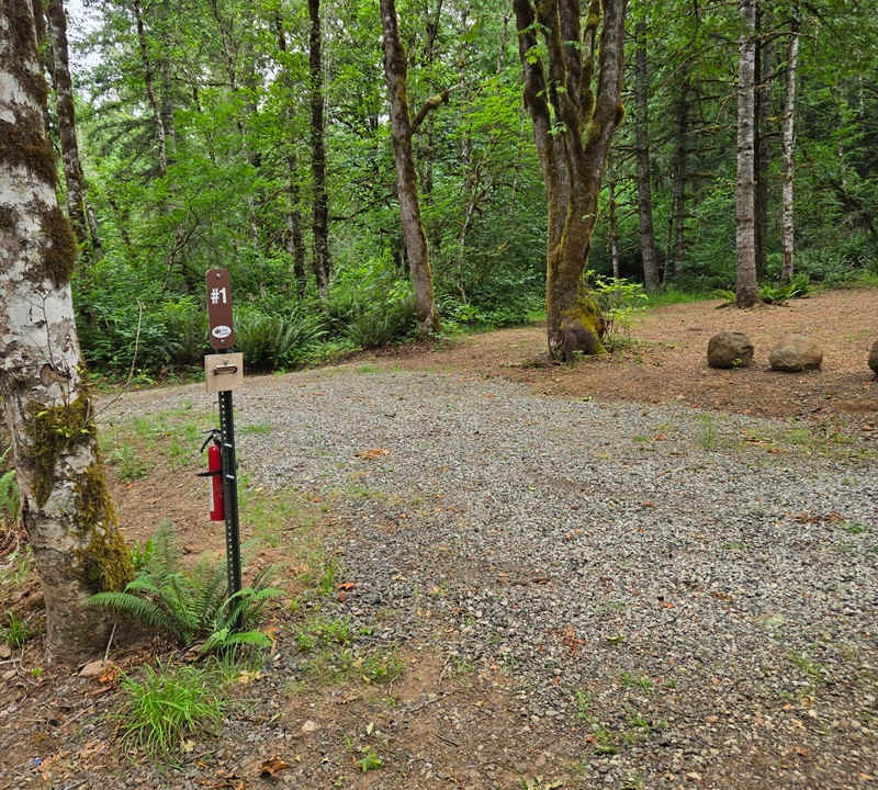 Picture of the site