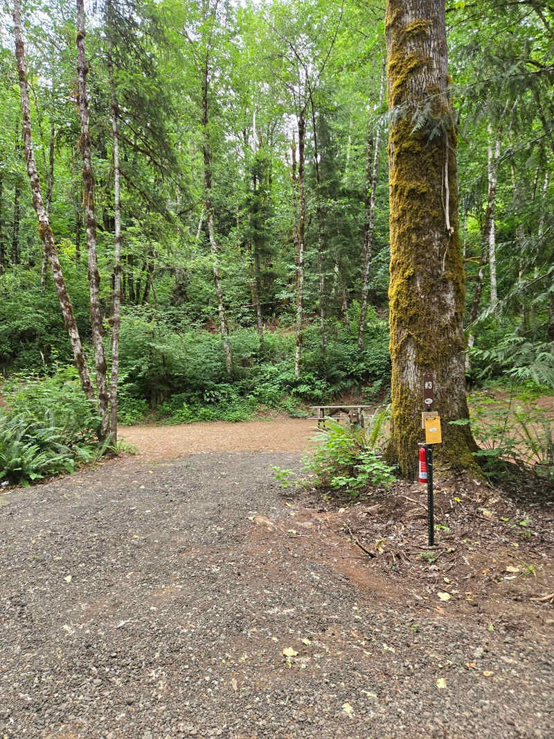 Picture of the site