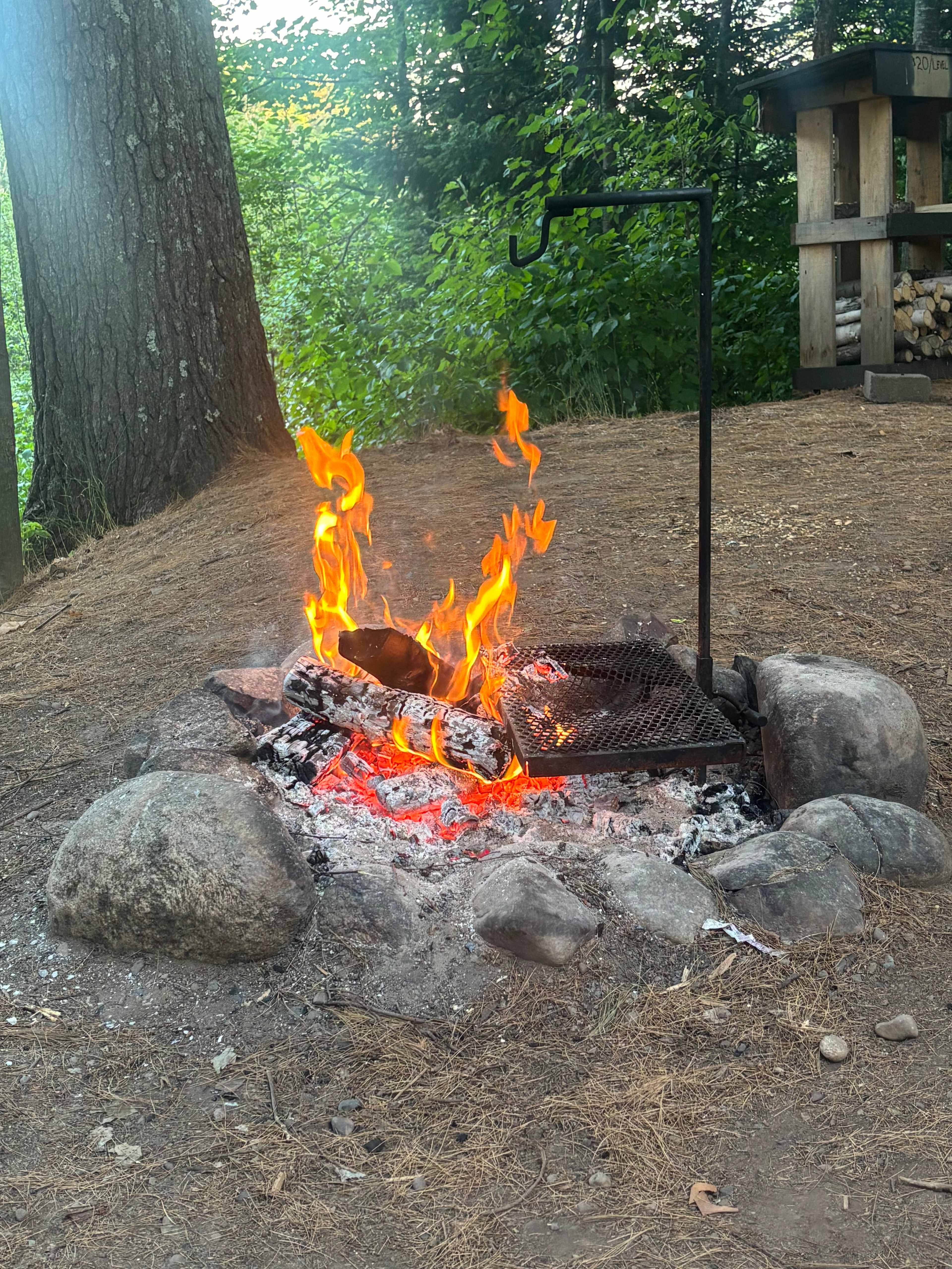 Bad River Wilderness