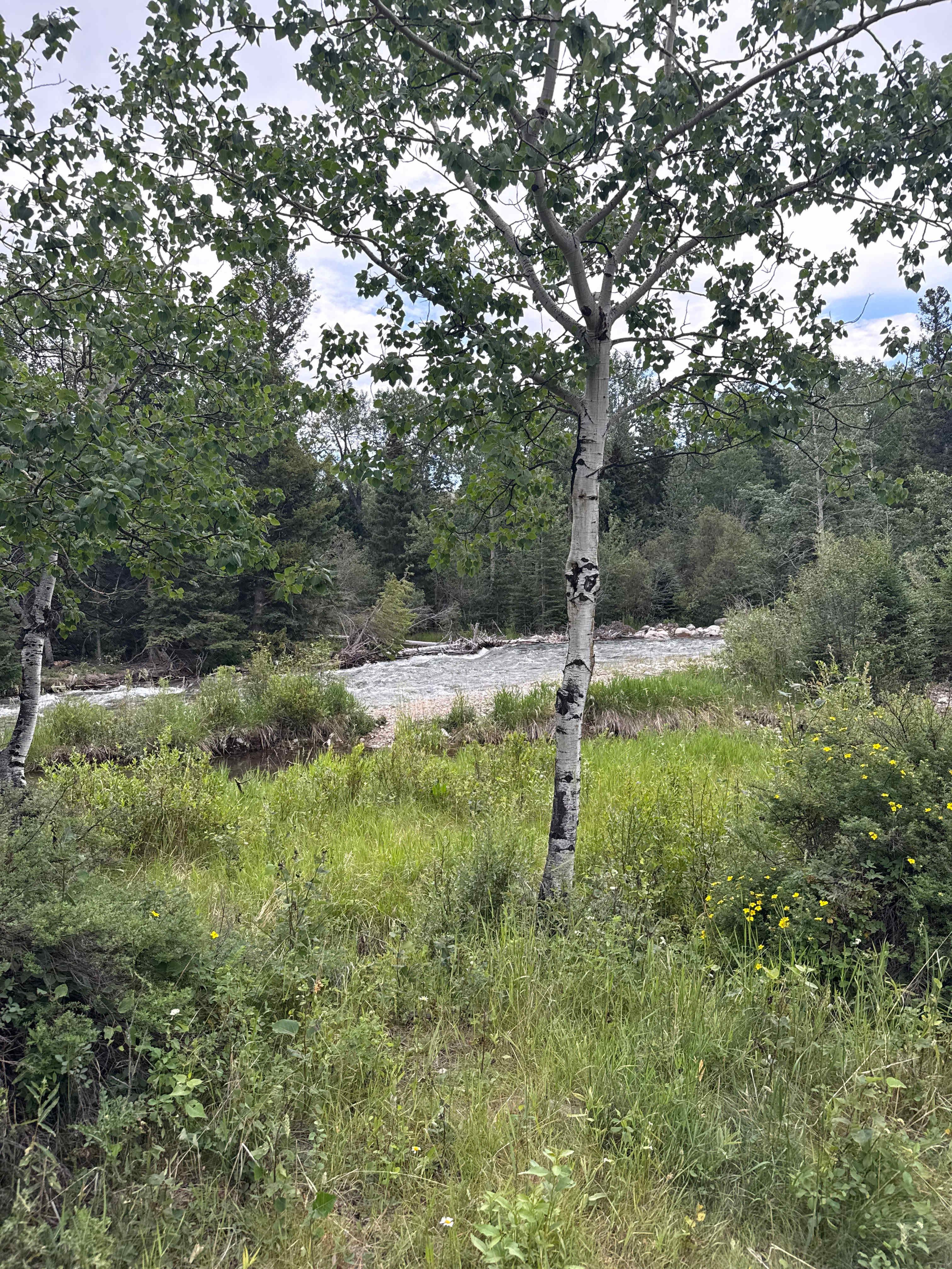 Rock Creek Retreat