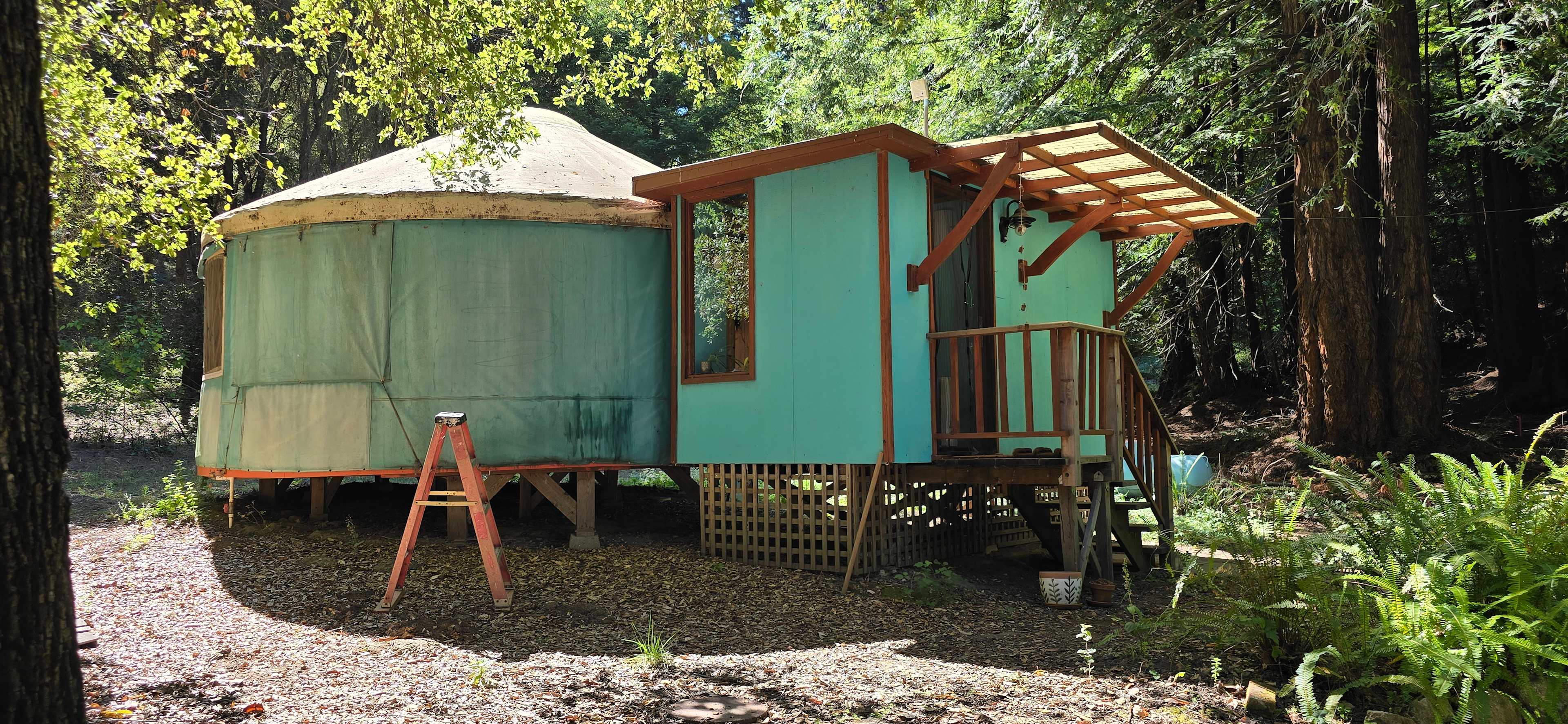Yurt In The Redwoods