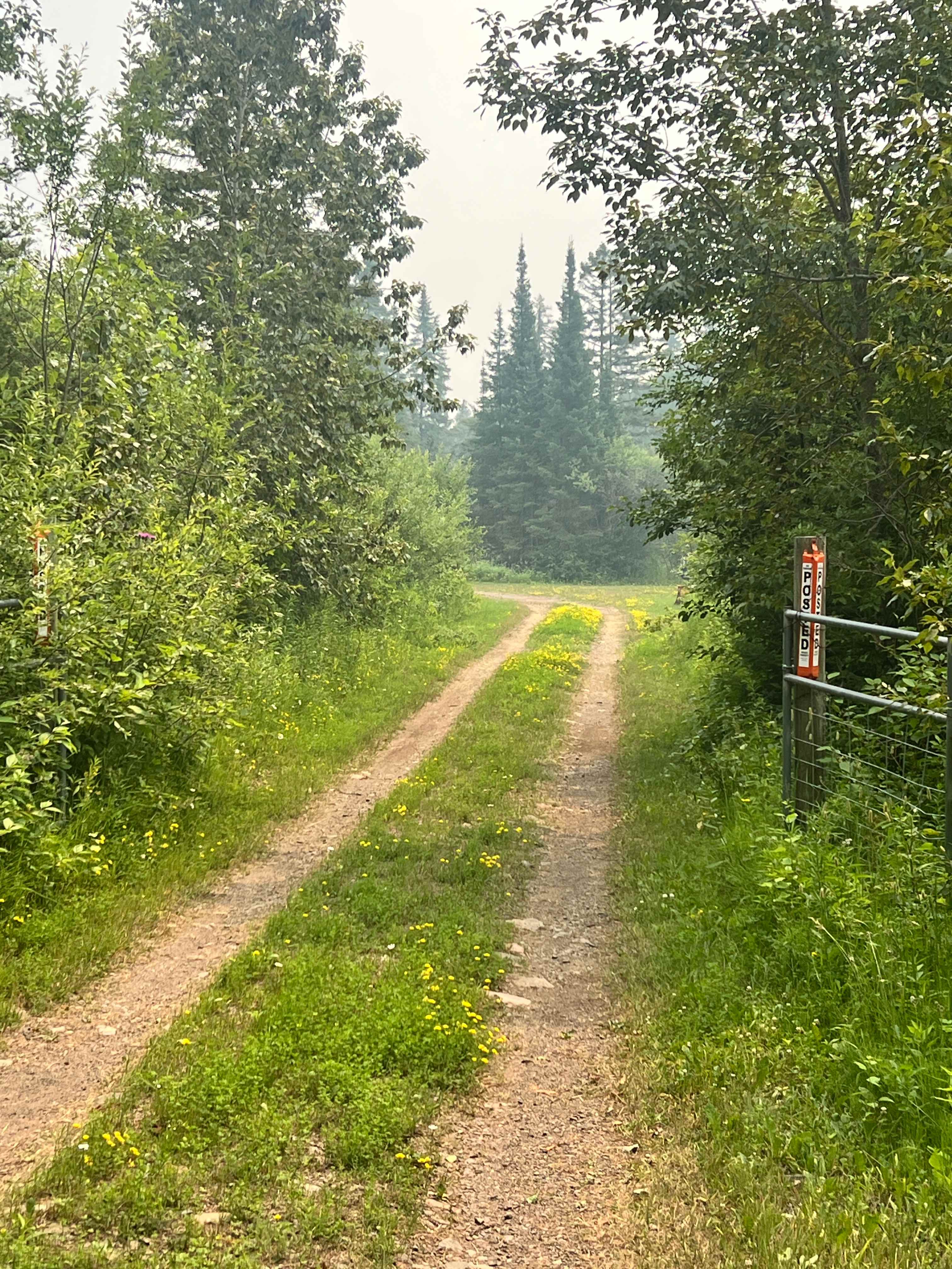 Picture of the site
