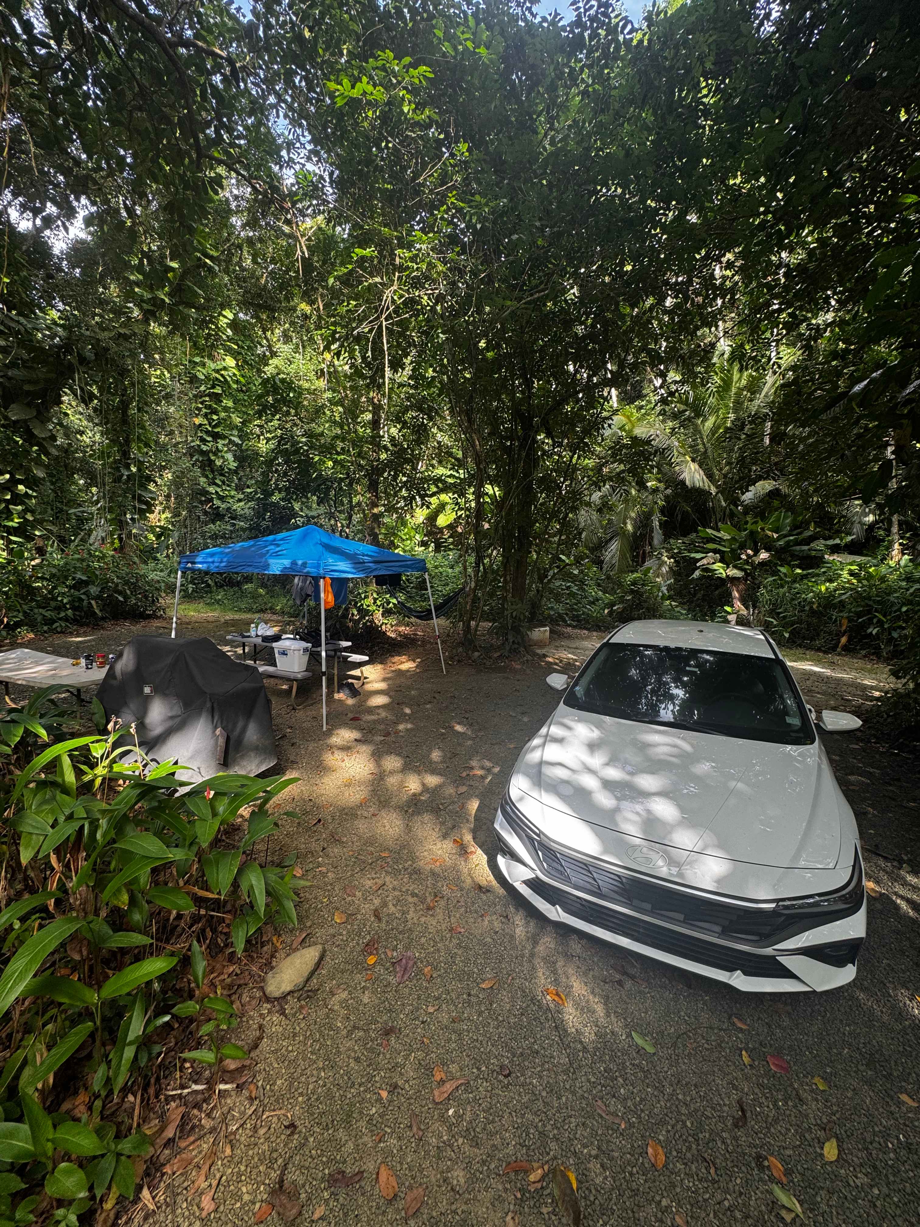 Hacienda Monte Rey near El Yunque