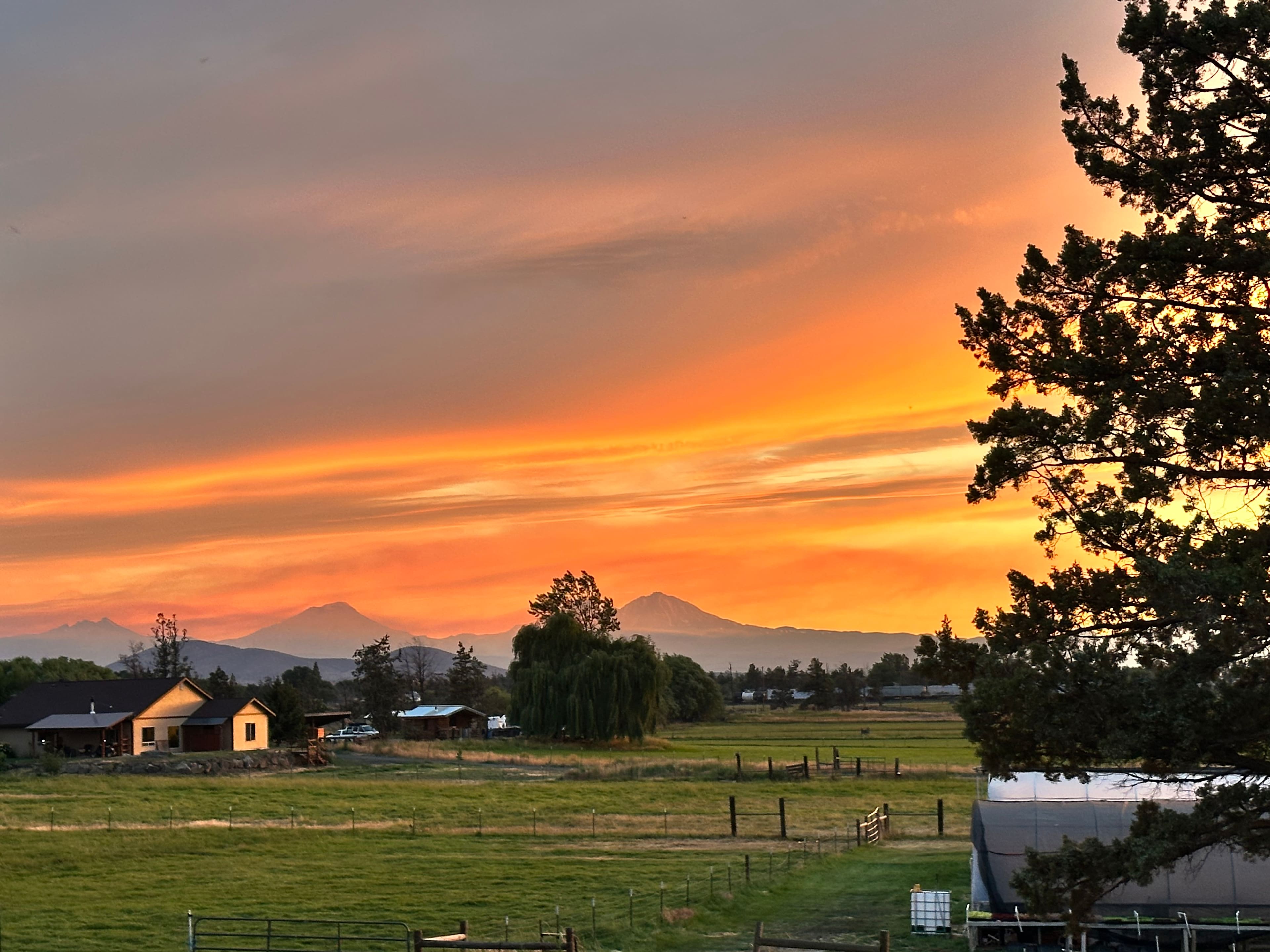 Rooper Ranch