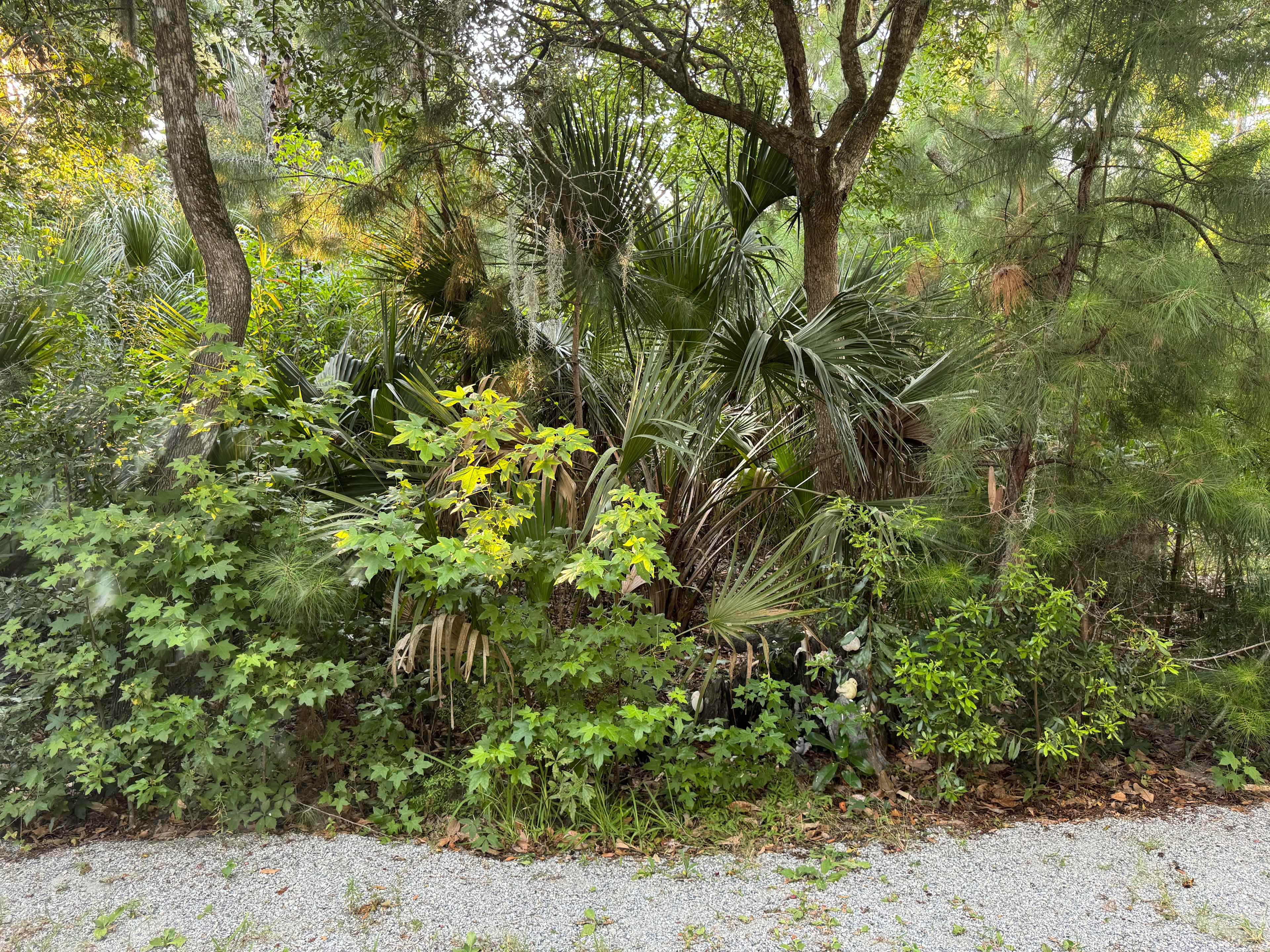 Edisto Island Vacation Rental RV