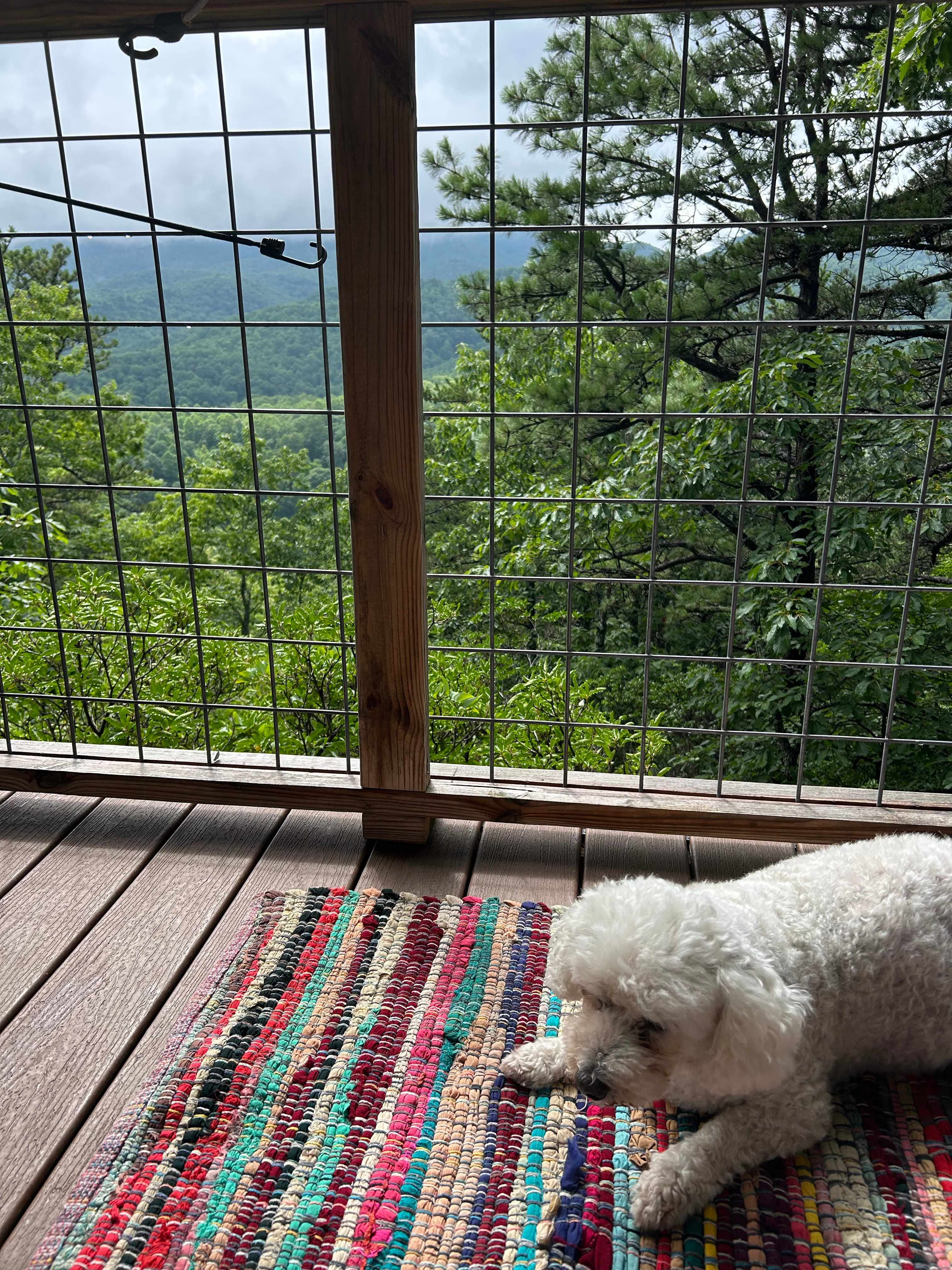 Above the Fray Glamping, Black Mtn.