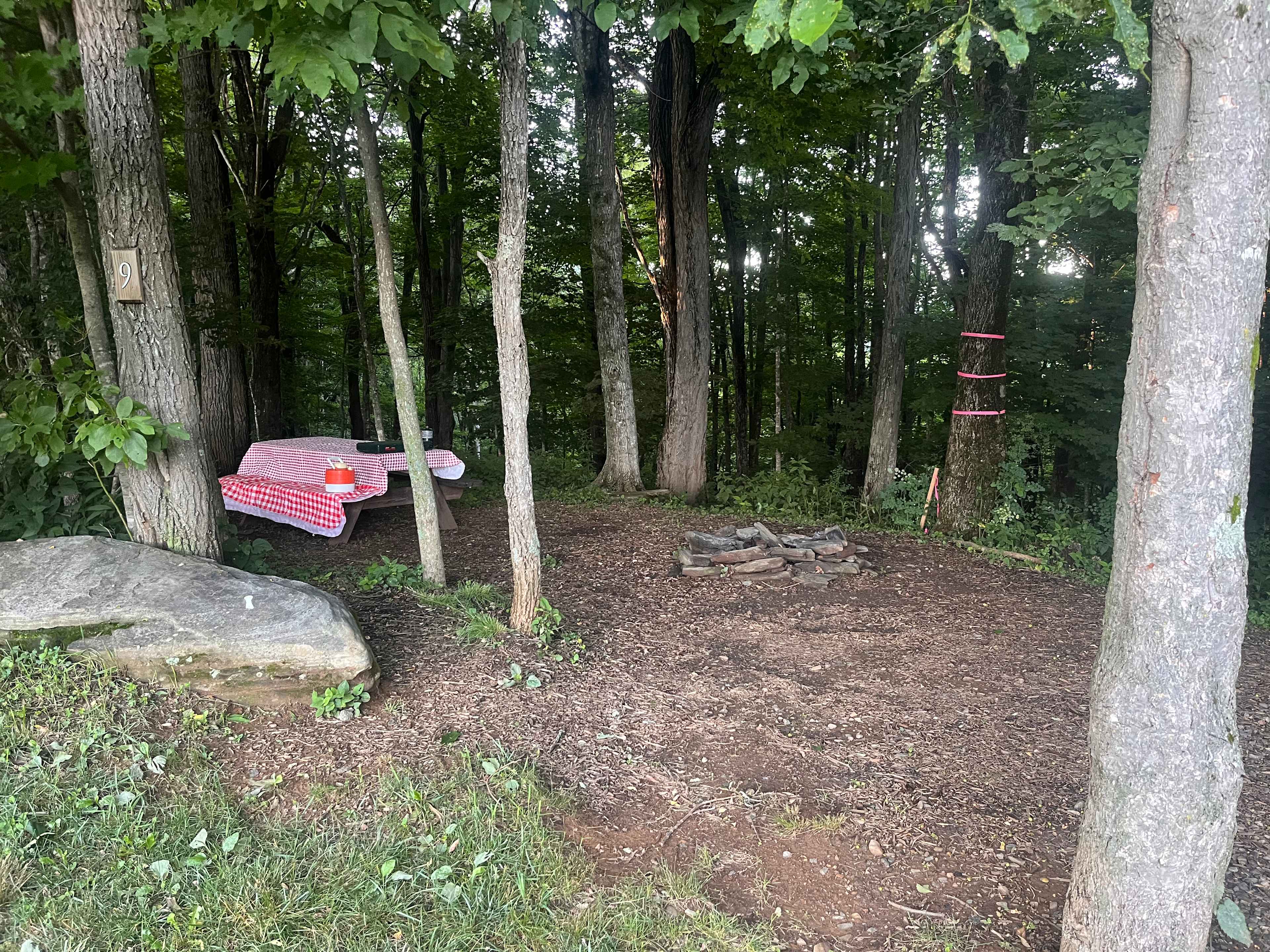Blue Bear Mountain Camp