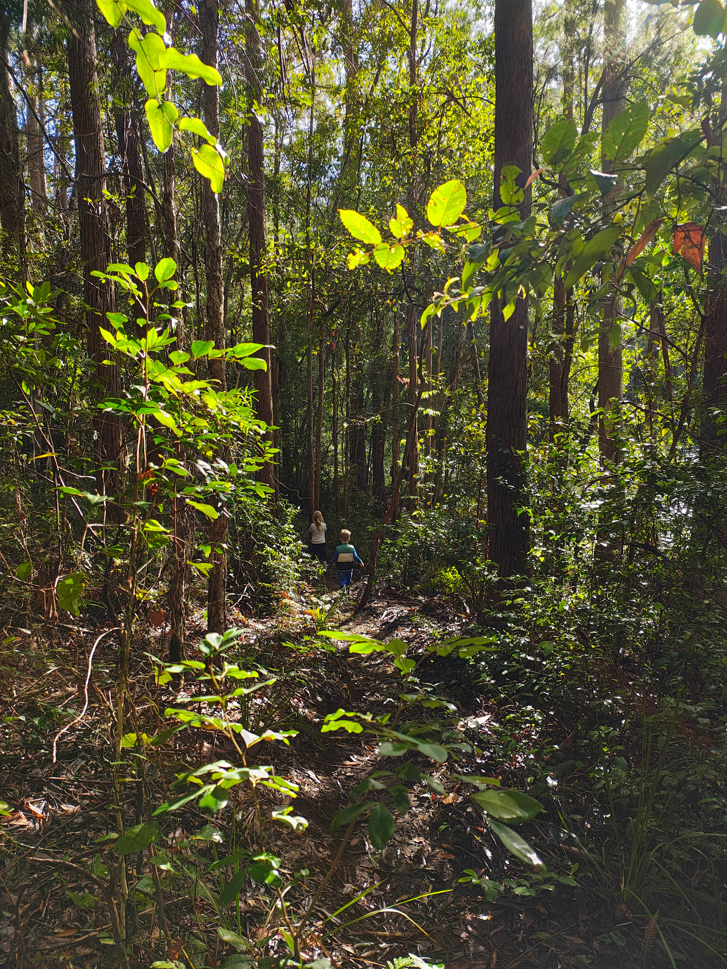 Billabong Walk