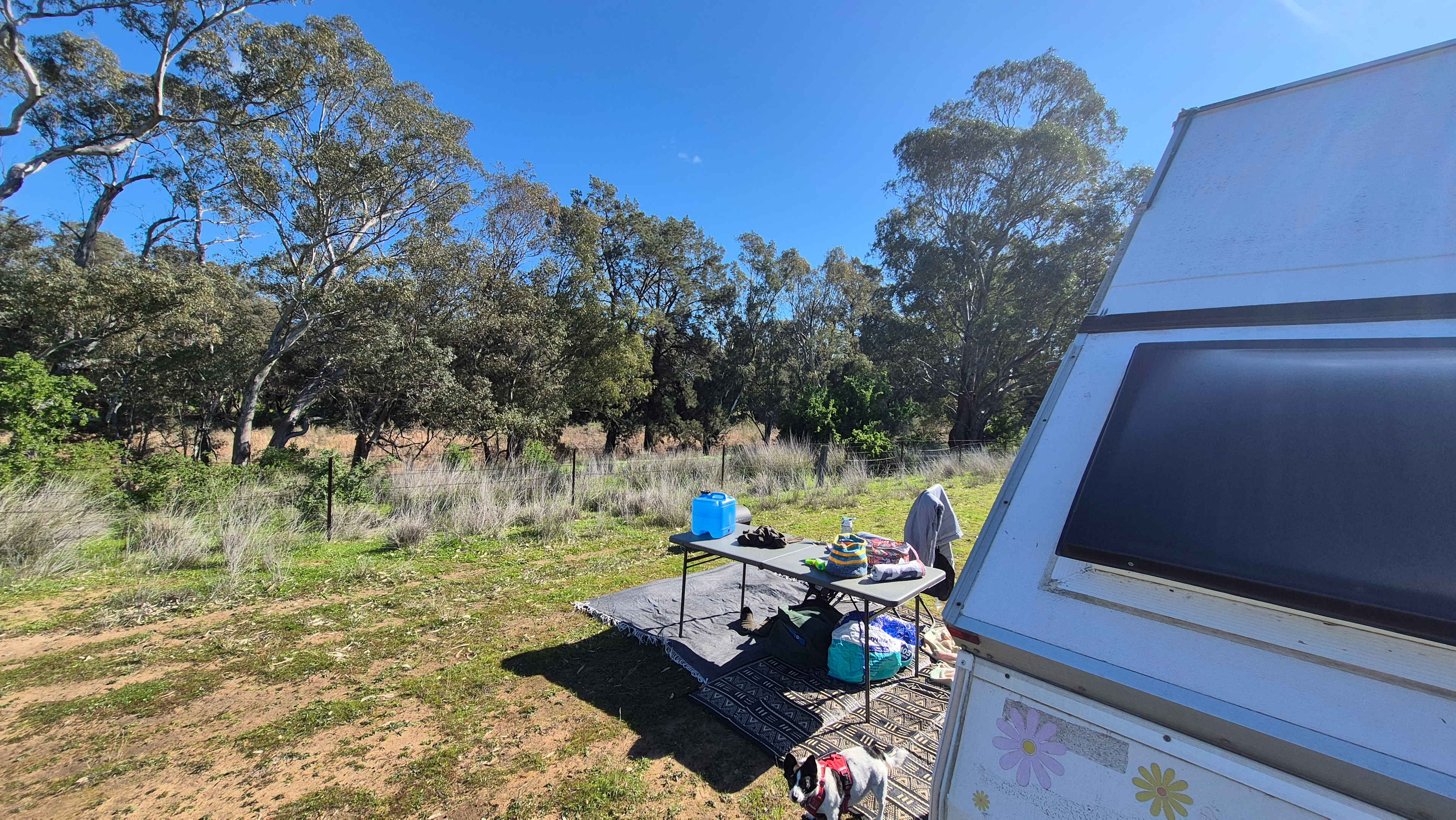 View from camp