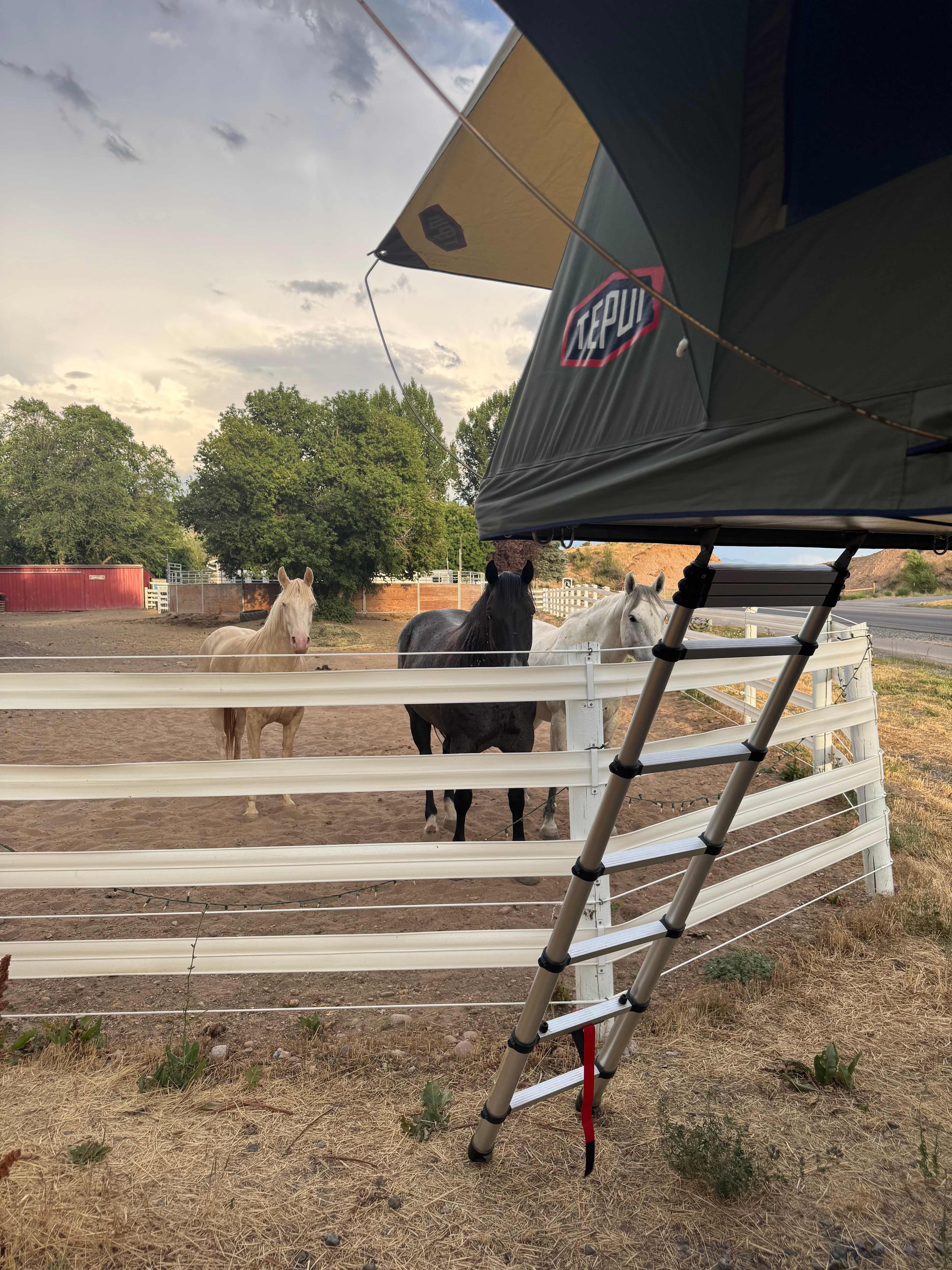 We used our rooftop tent in the designated parking spot rather than using the tent area