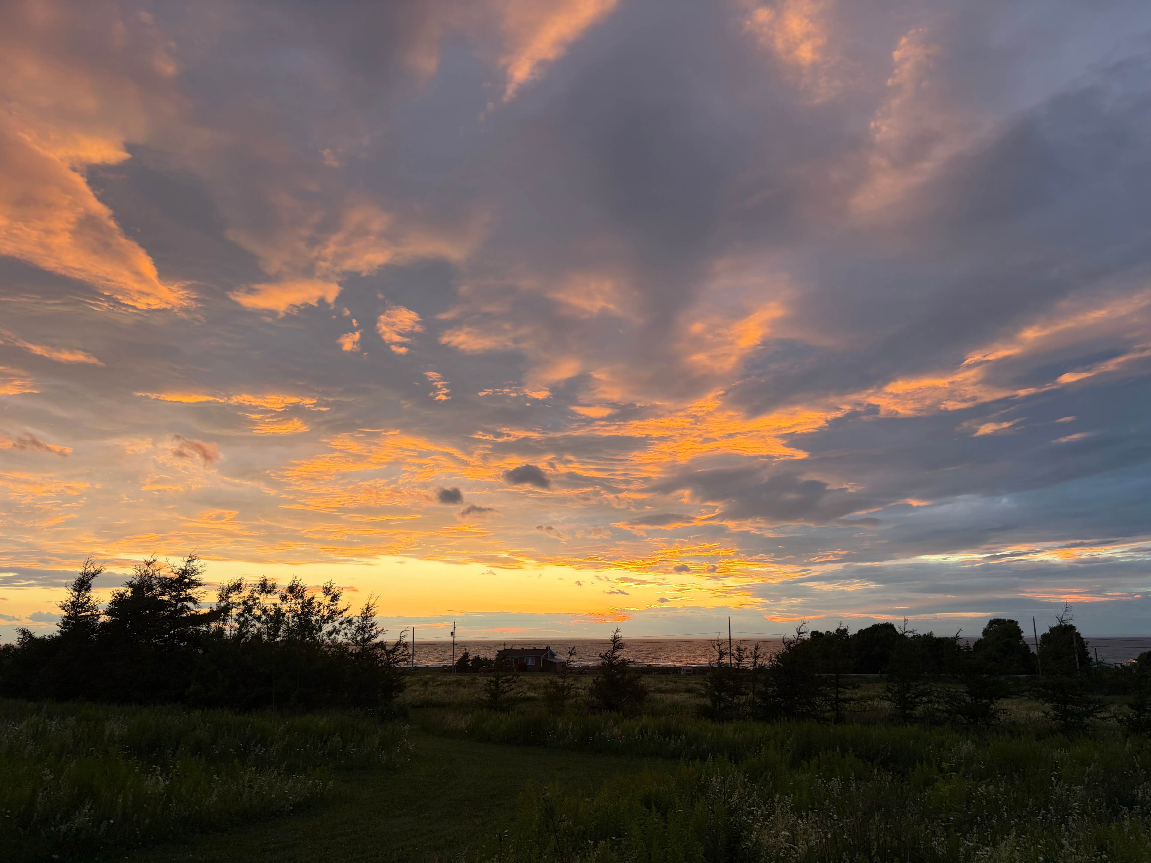 Evening sunset 