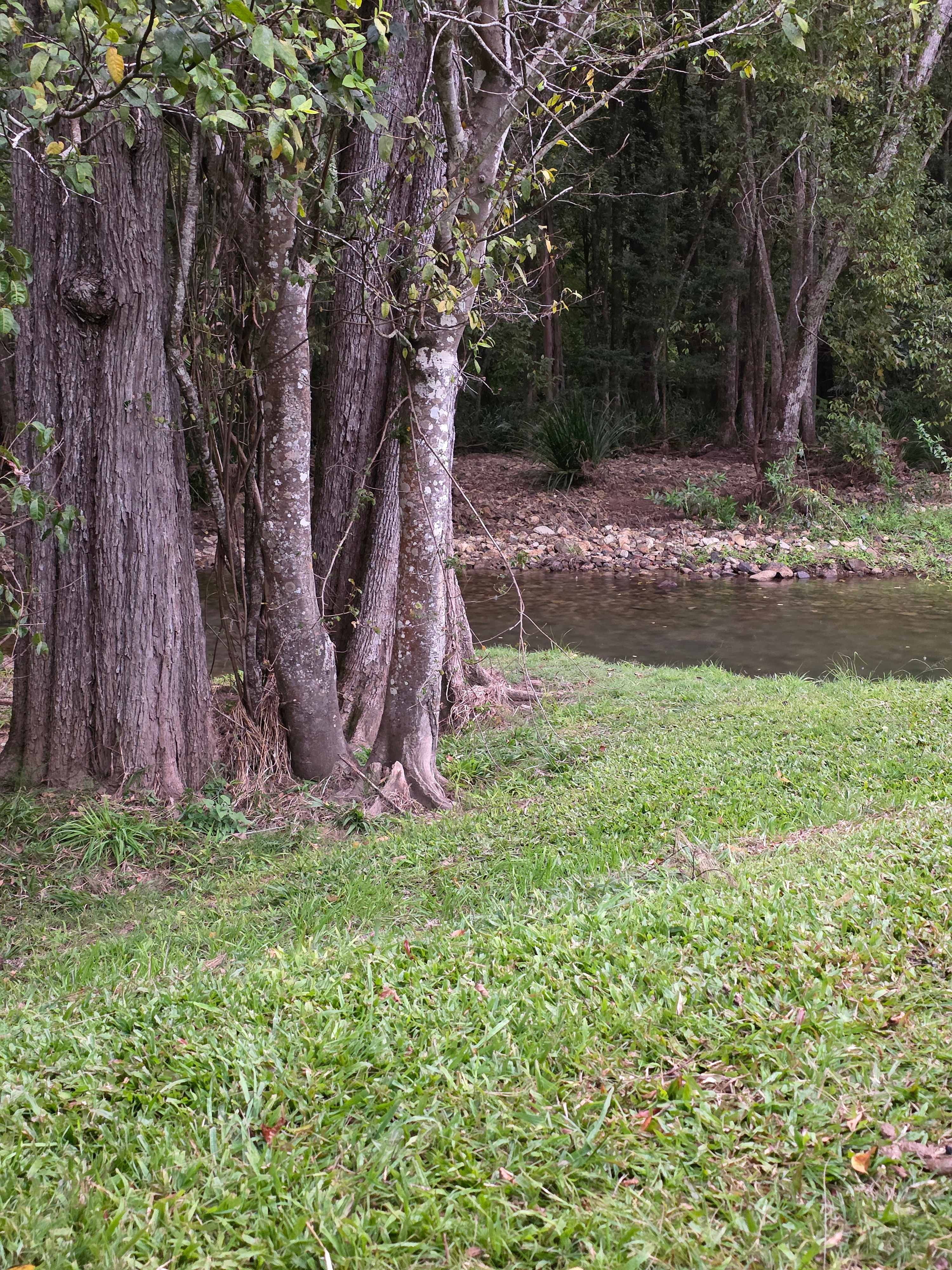 Crystal Creek Springs