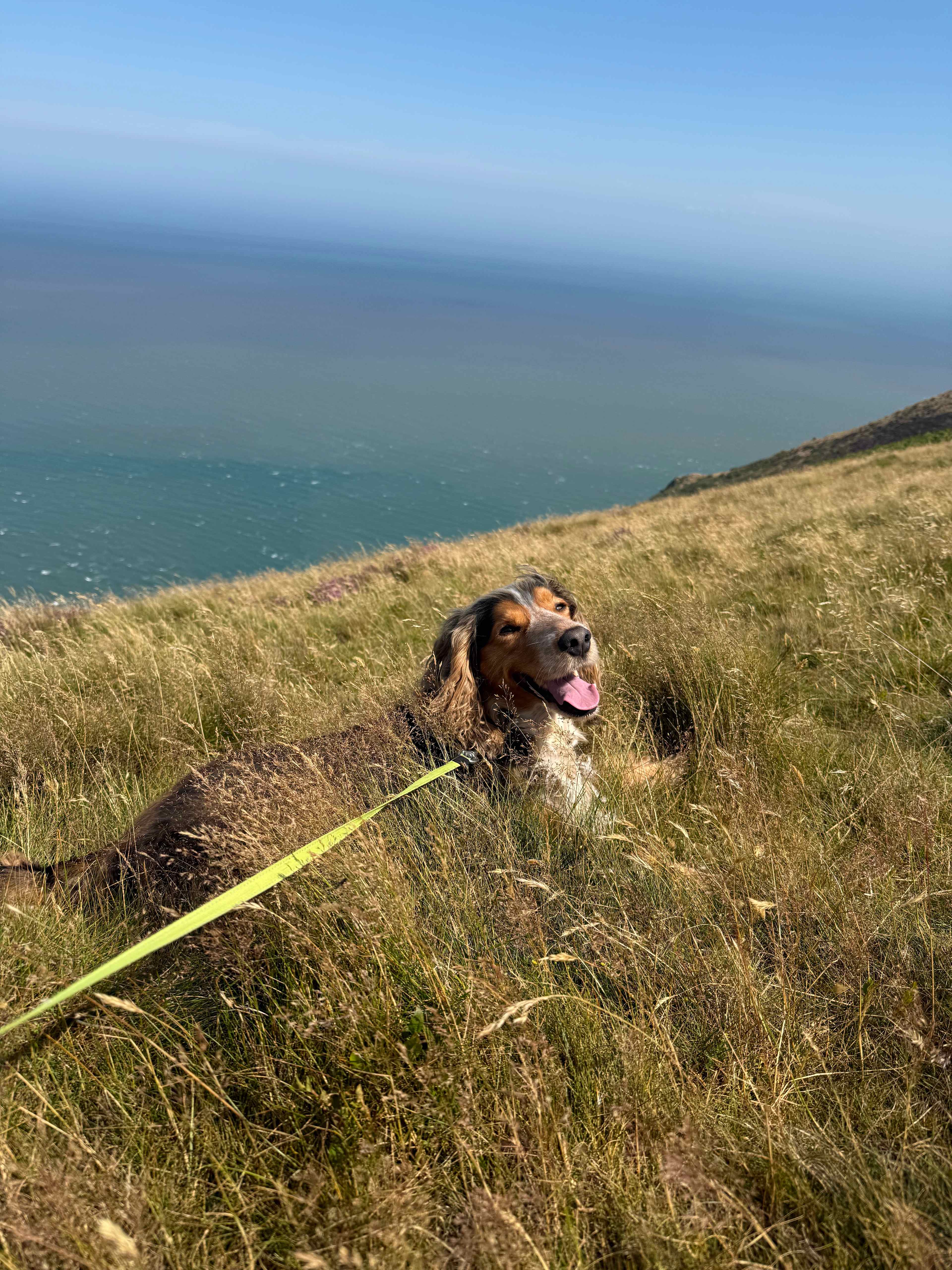 South Dean Camping