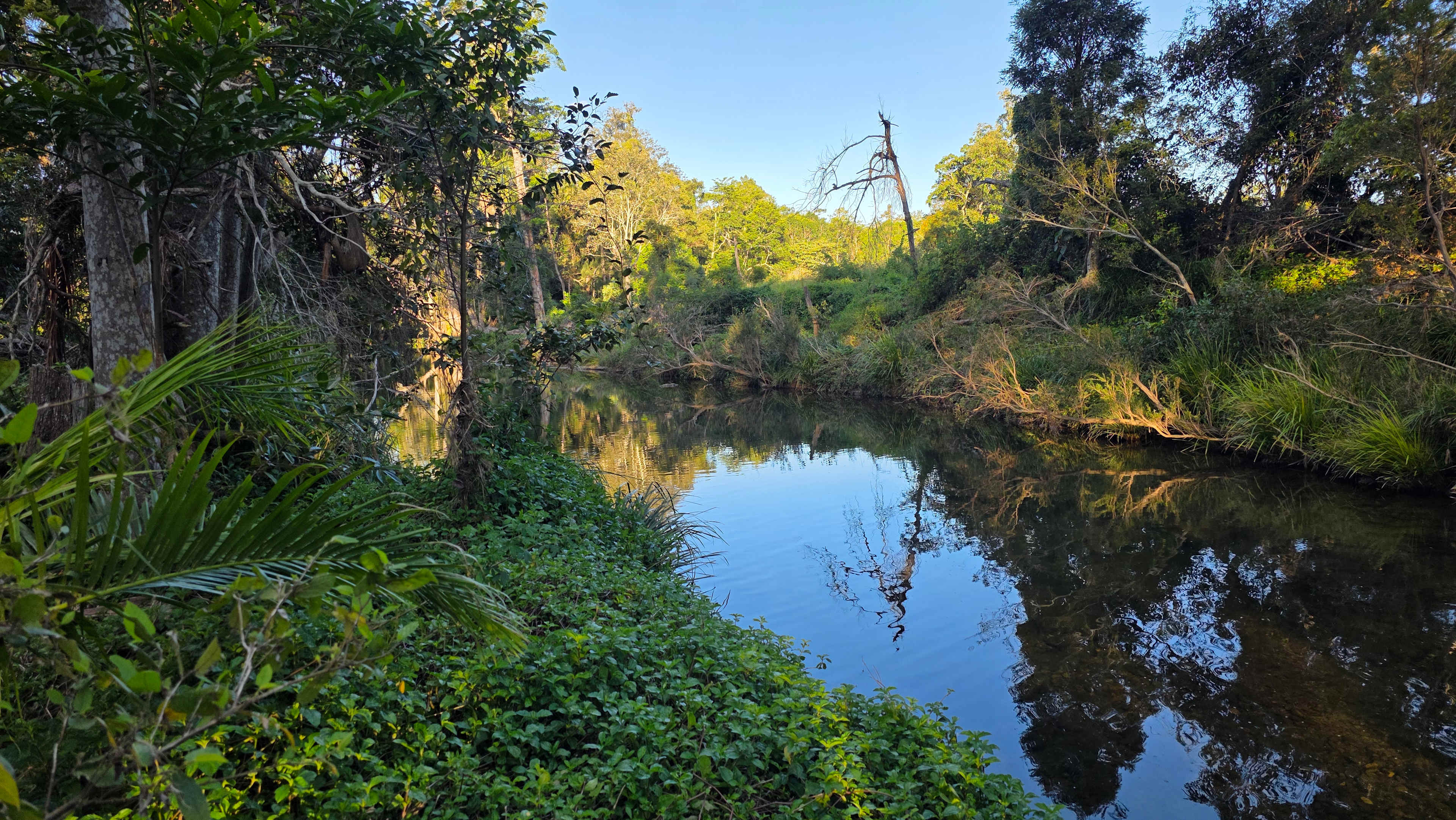 Wongawallan Creek Estate