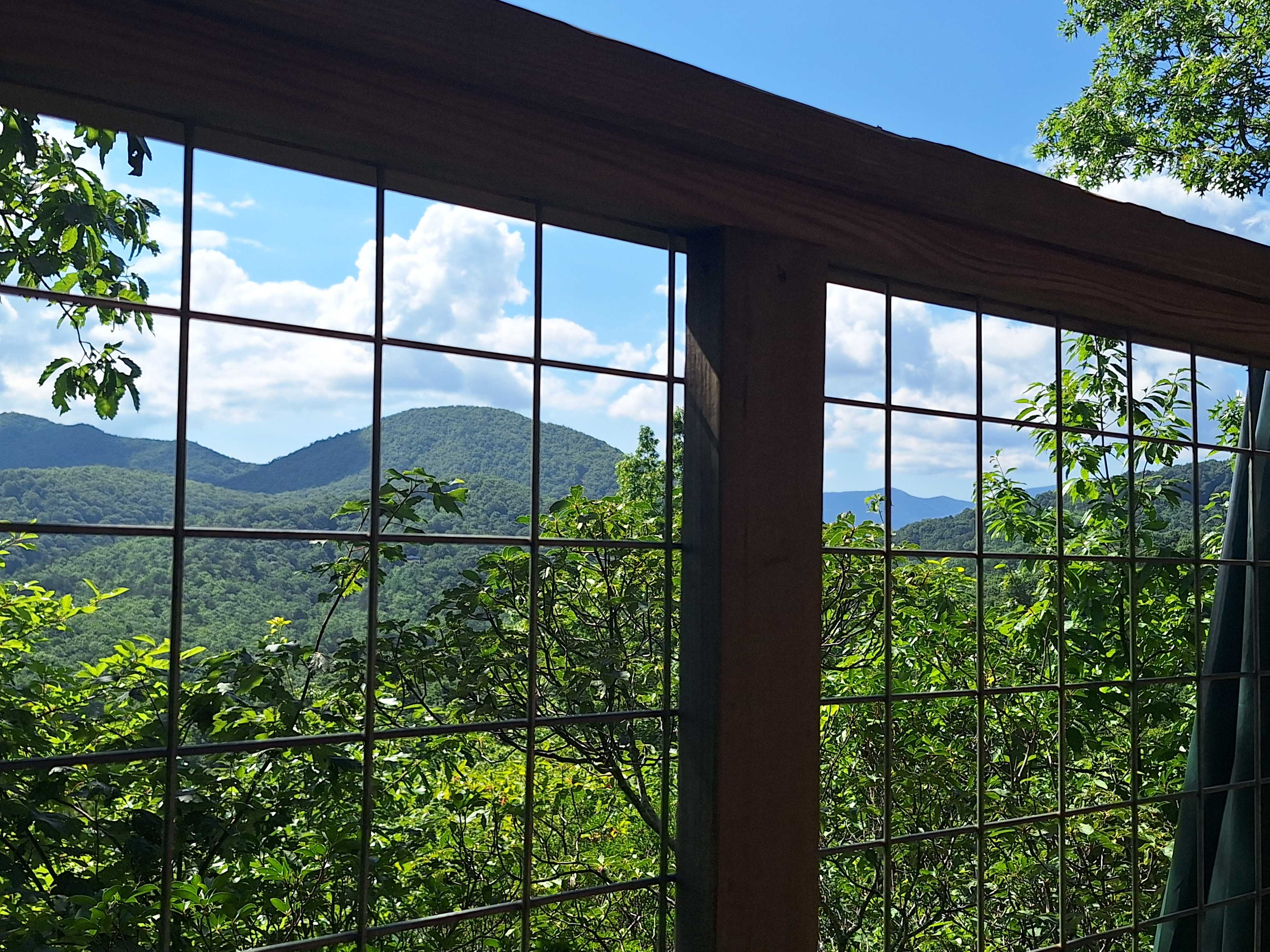 Above the Fray Glamping, Black Mtn.