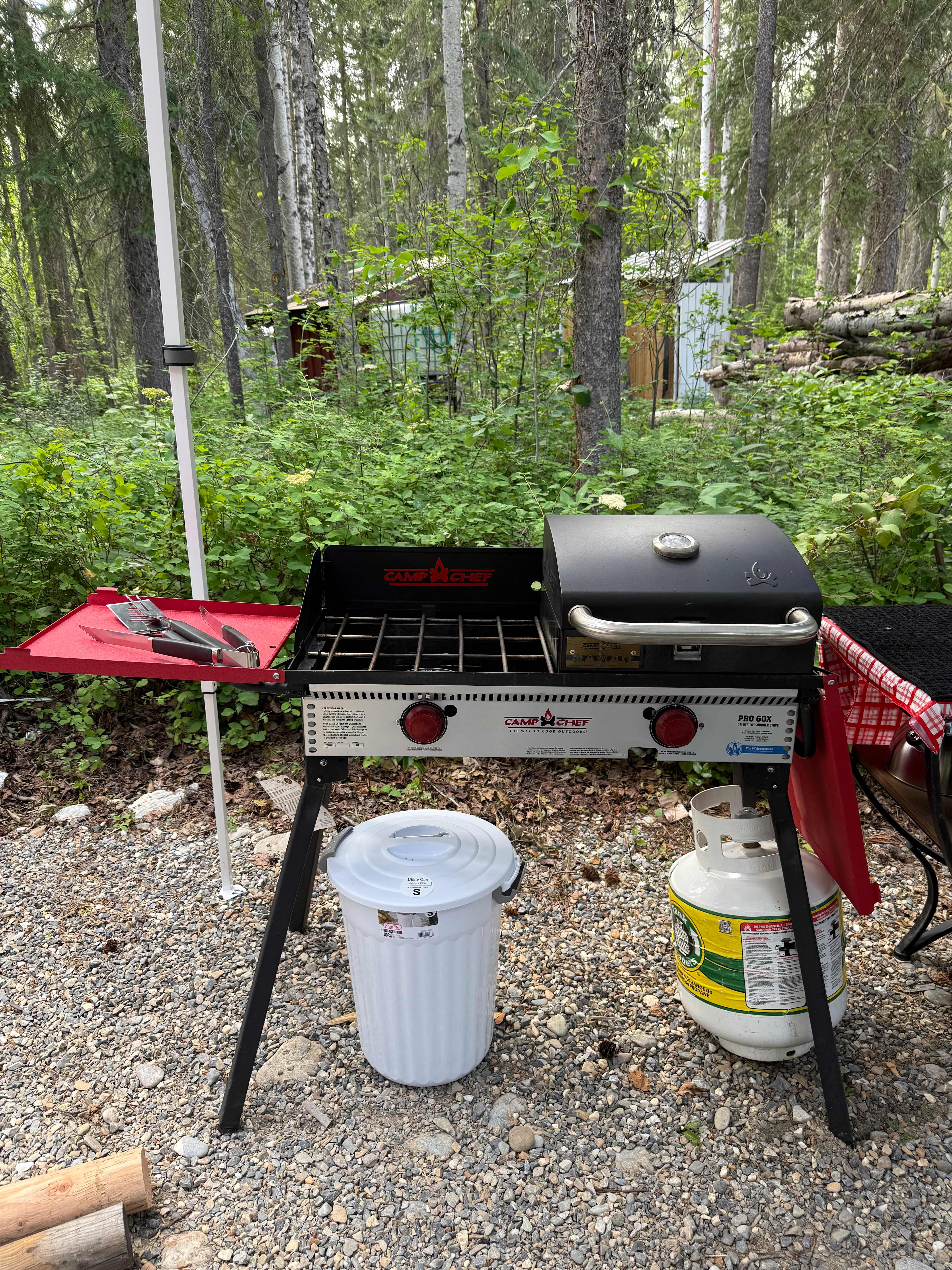 Picture of the site