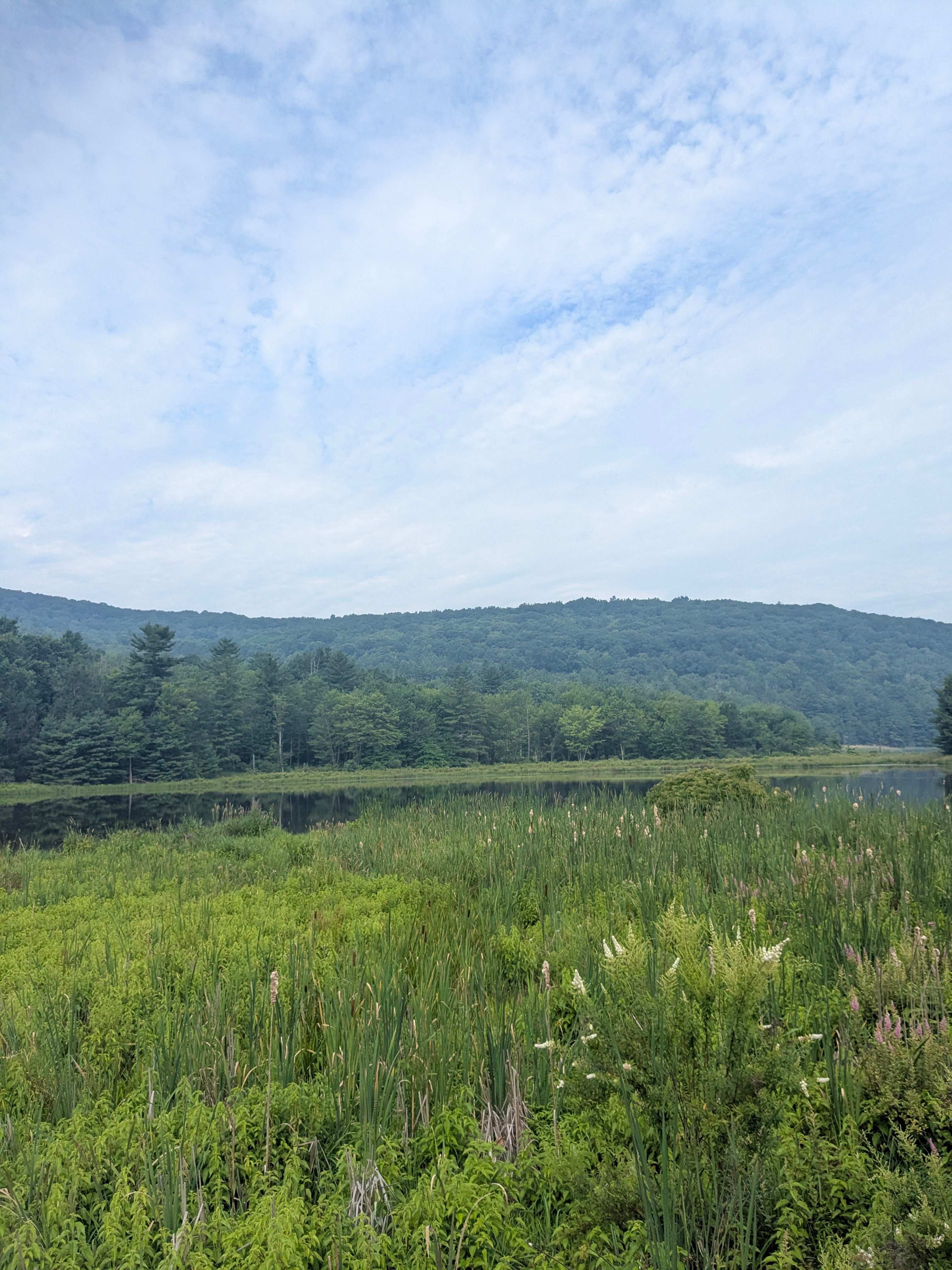 Winn Hill Farms Camping