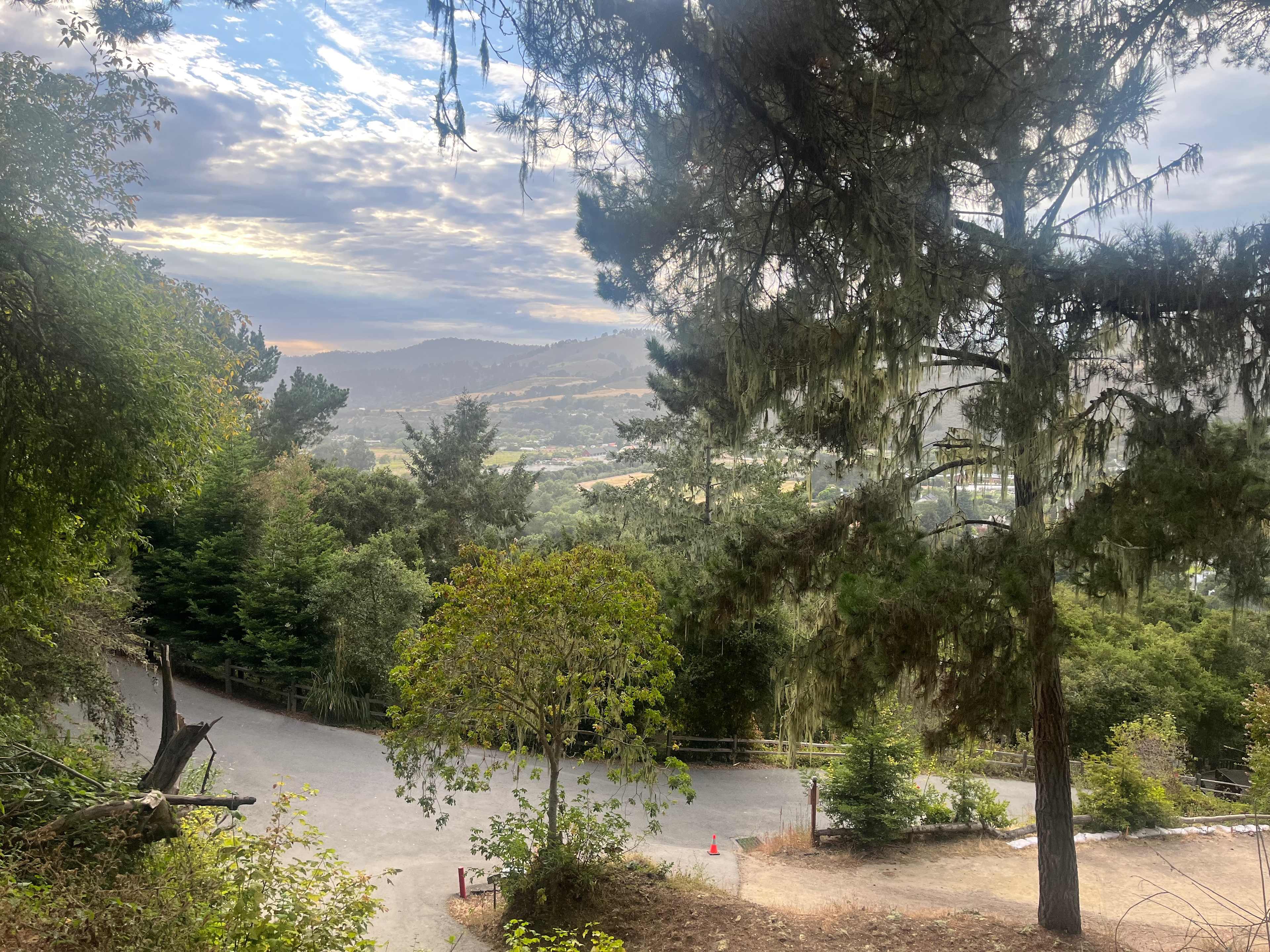 View from Site 31