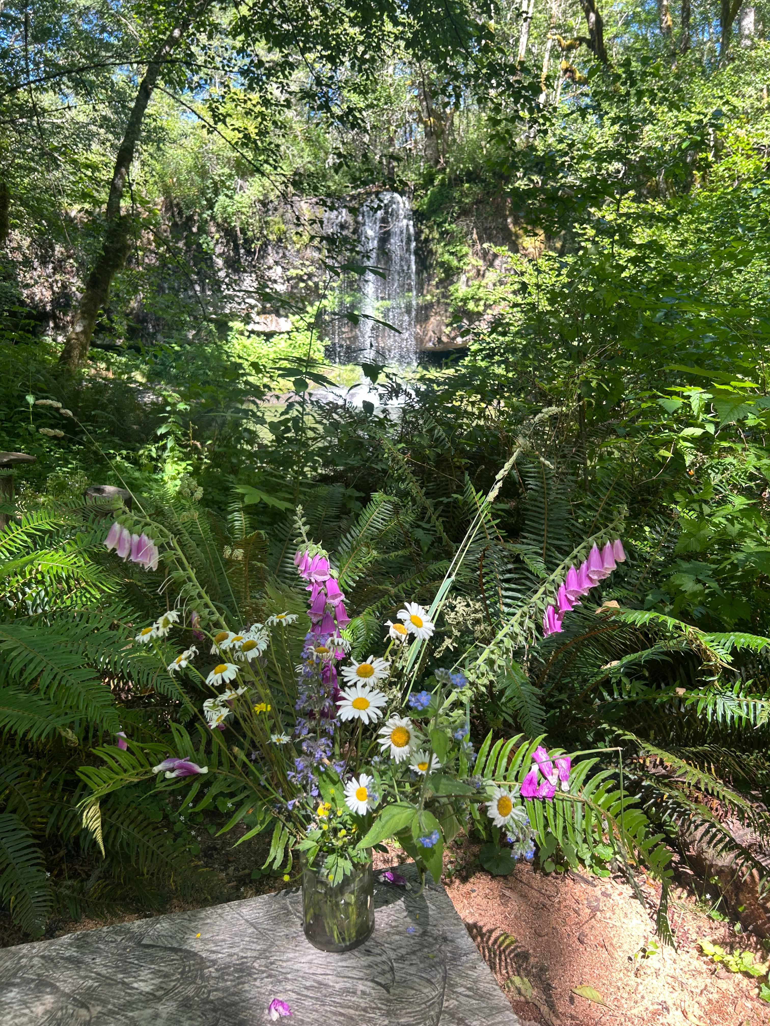 The Falls at Elk Prairie