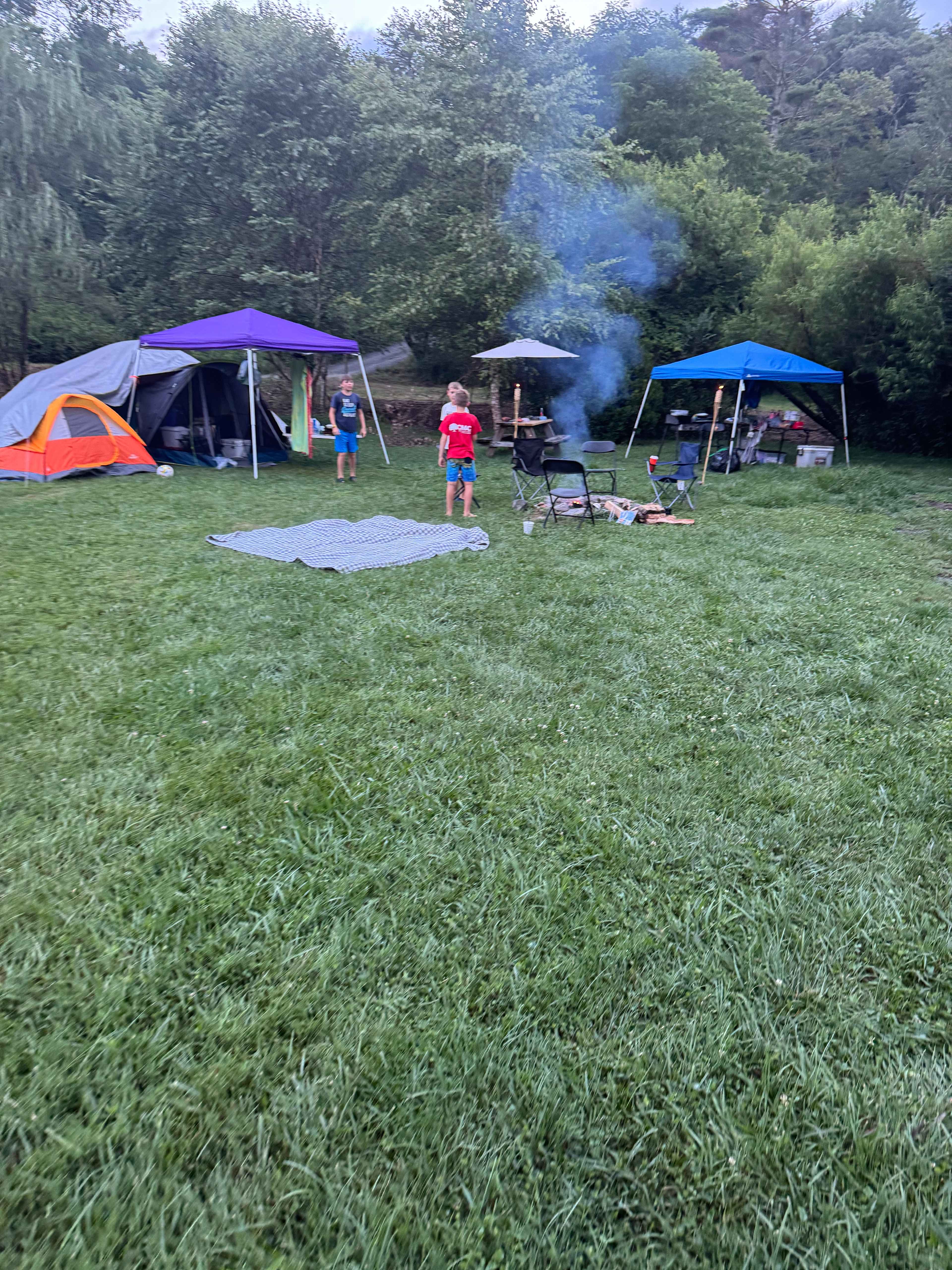 Pisgah Forest Mountain Meadows