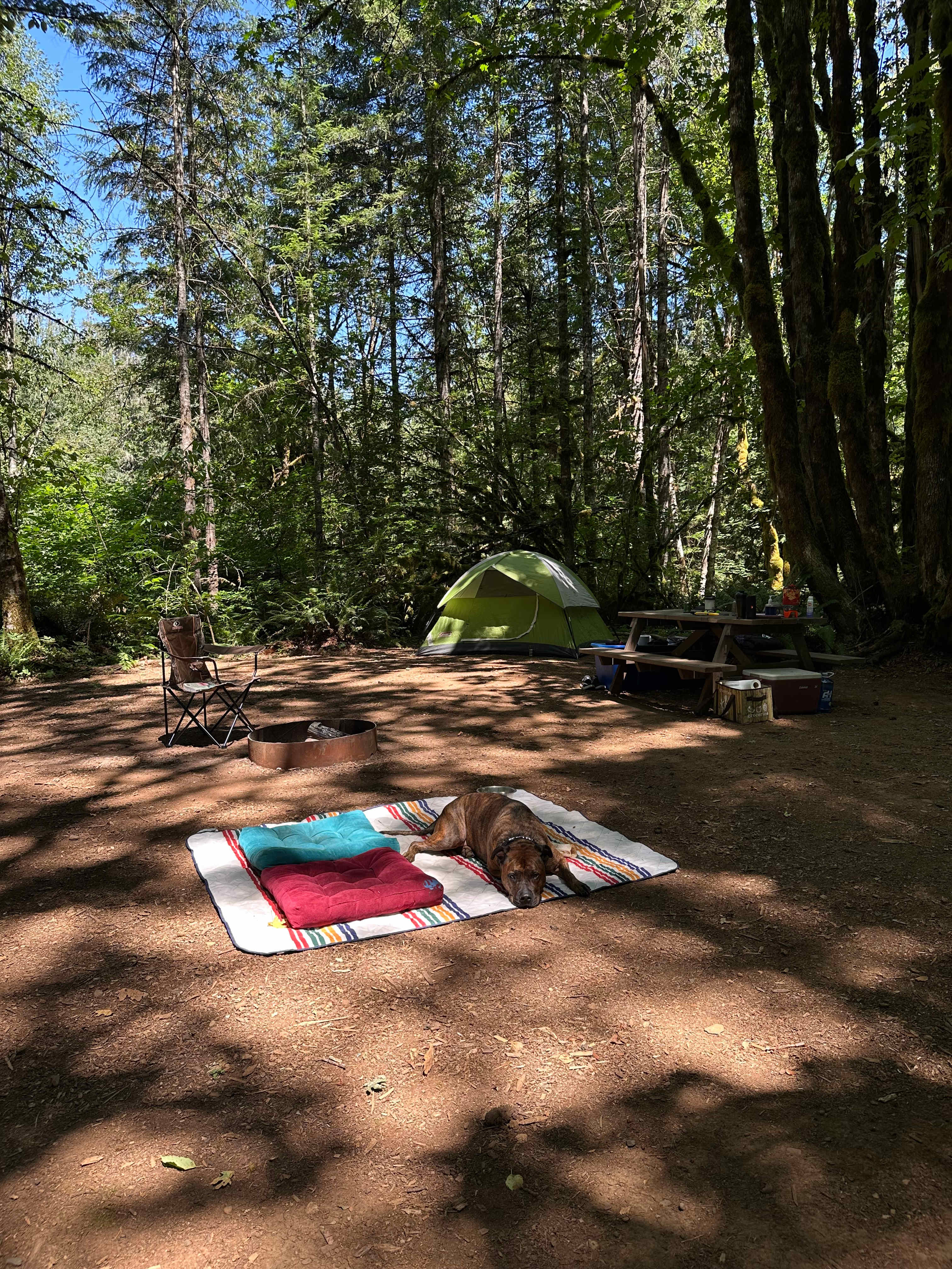 Zen Acres