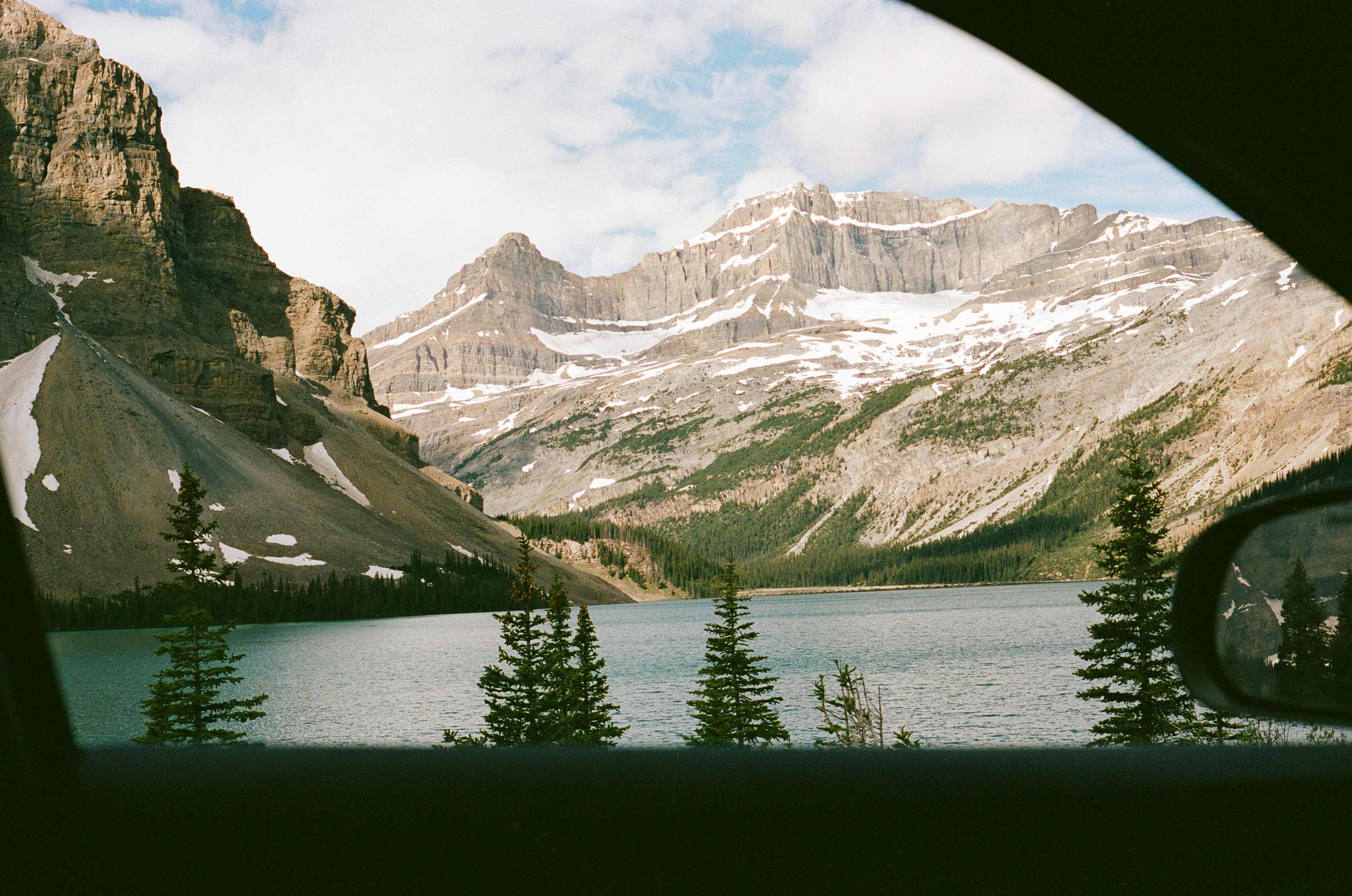 Flyway Farm & Forest