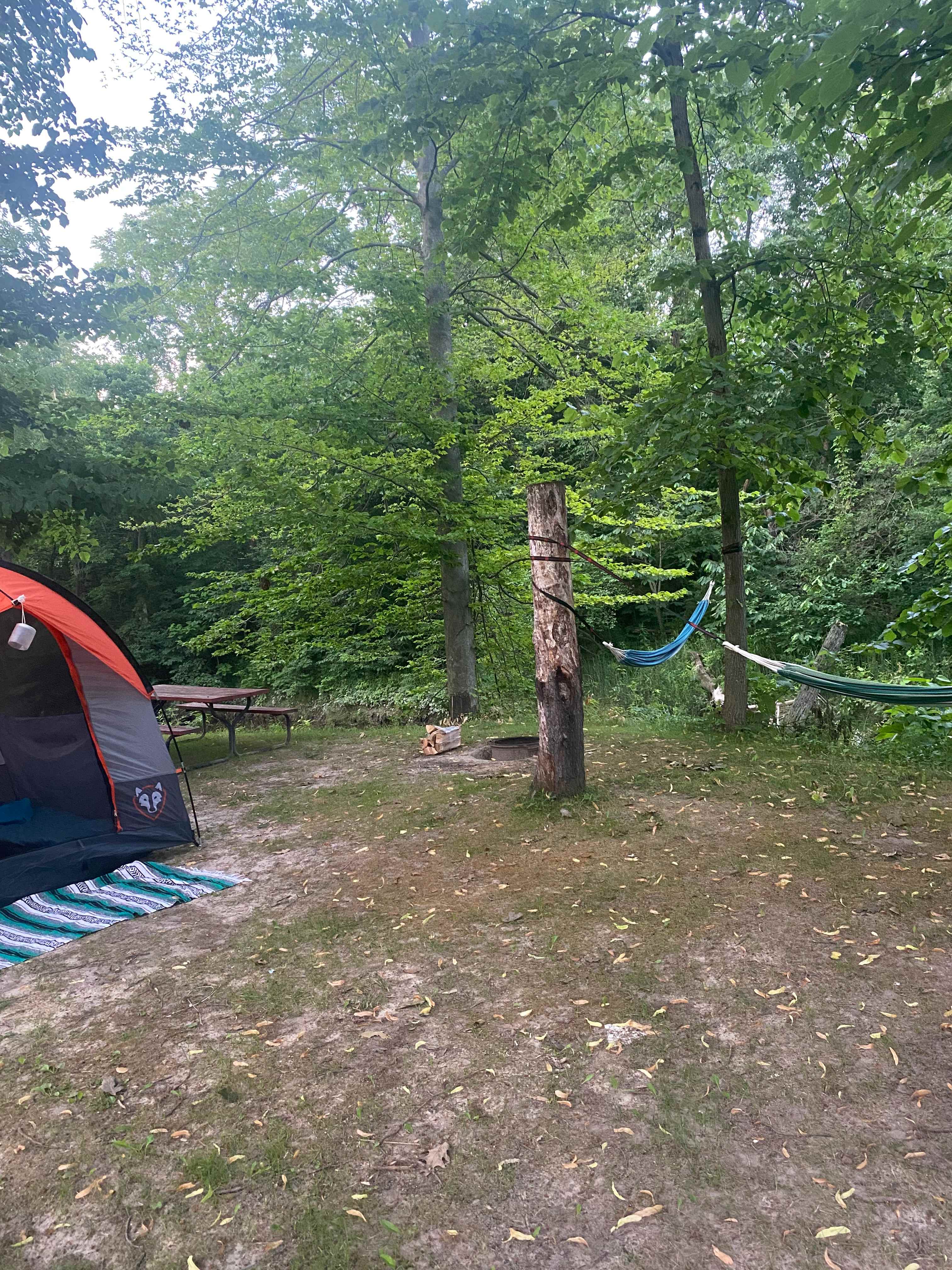 Black River Trails Campground