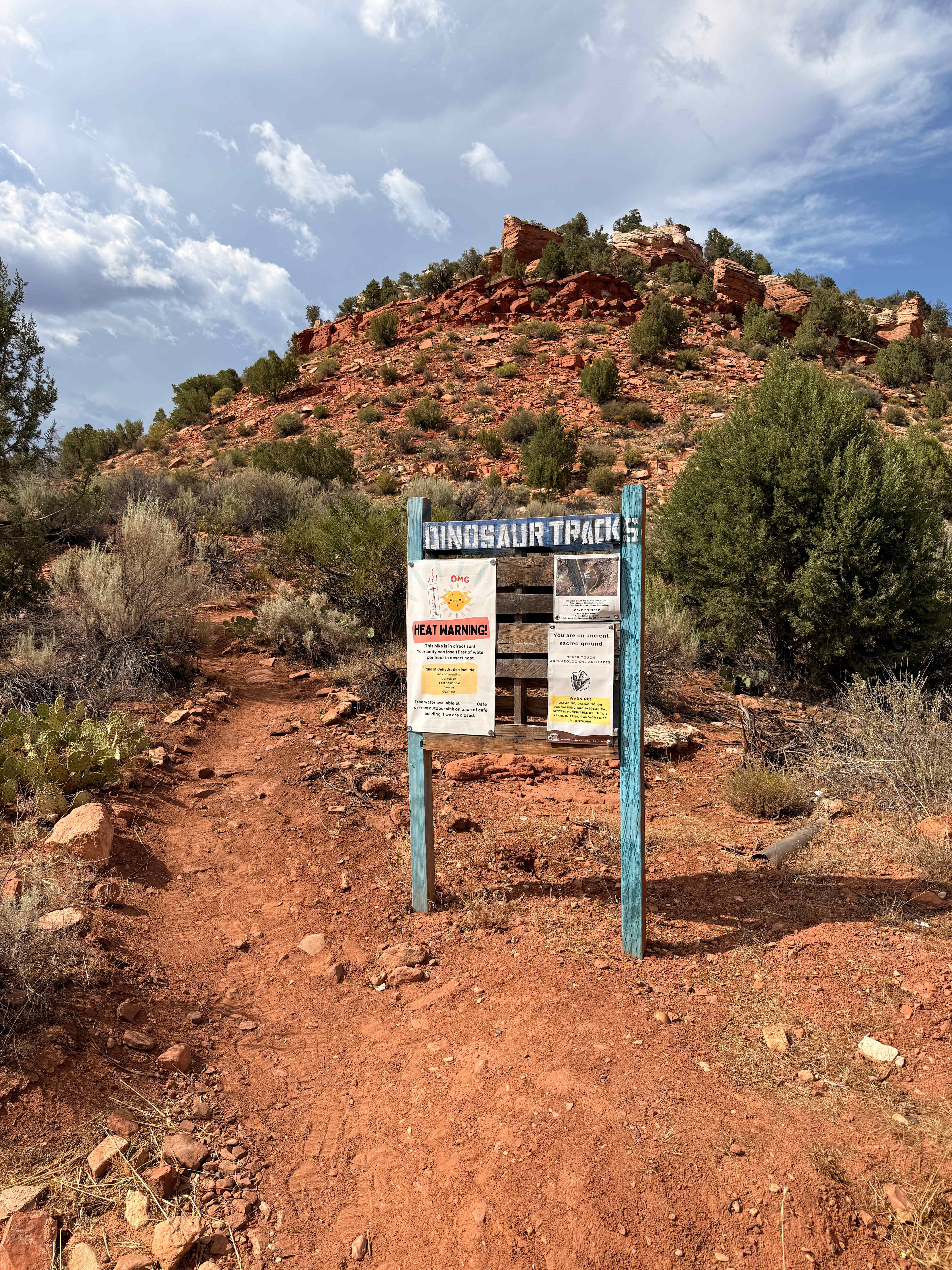 Desert Bloom Campground