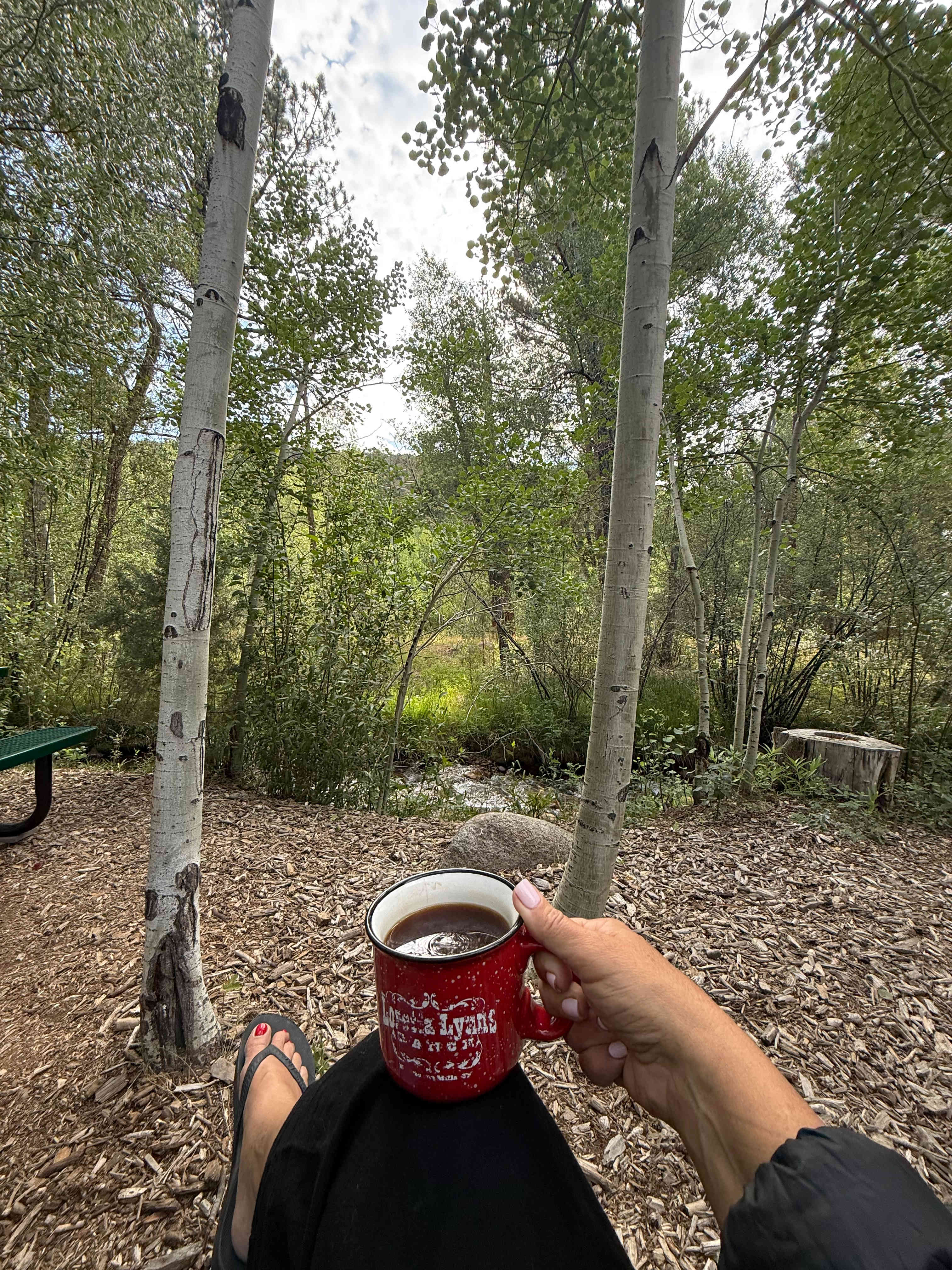 Creekside Chalets