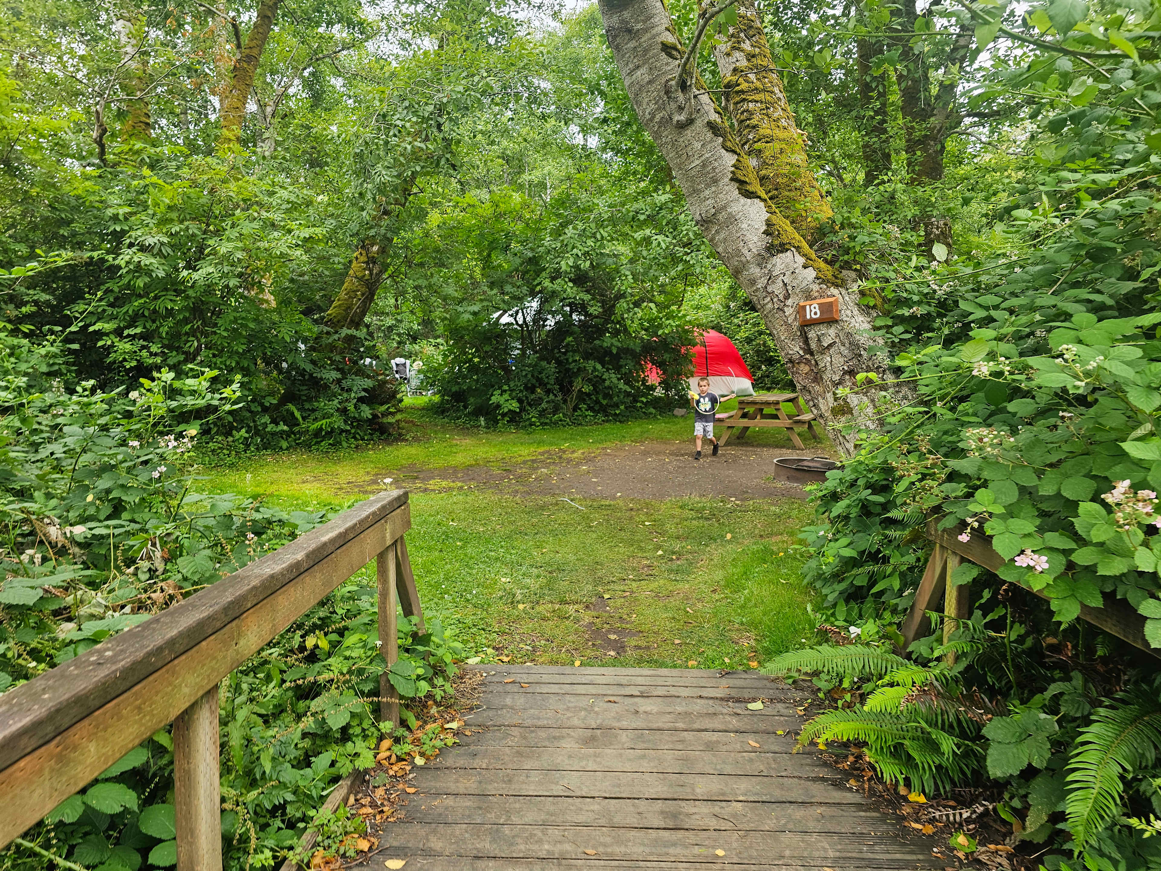 Picture of the site