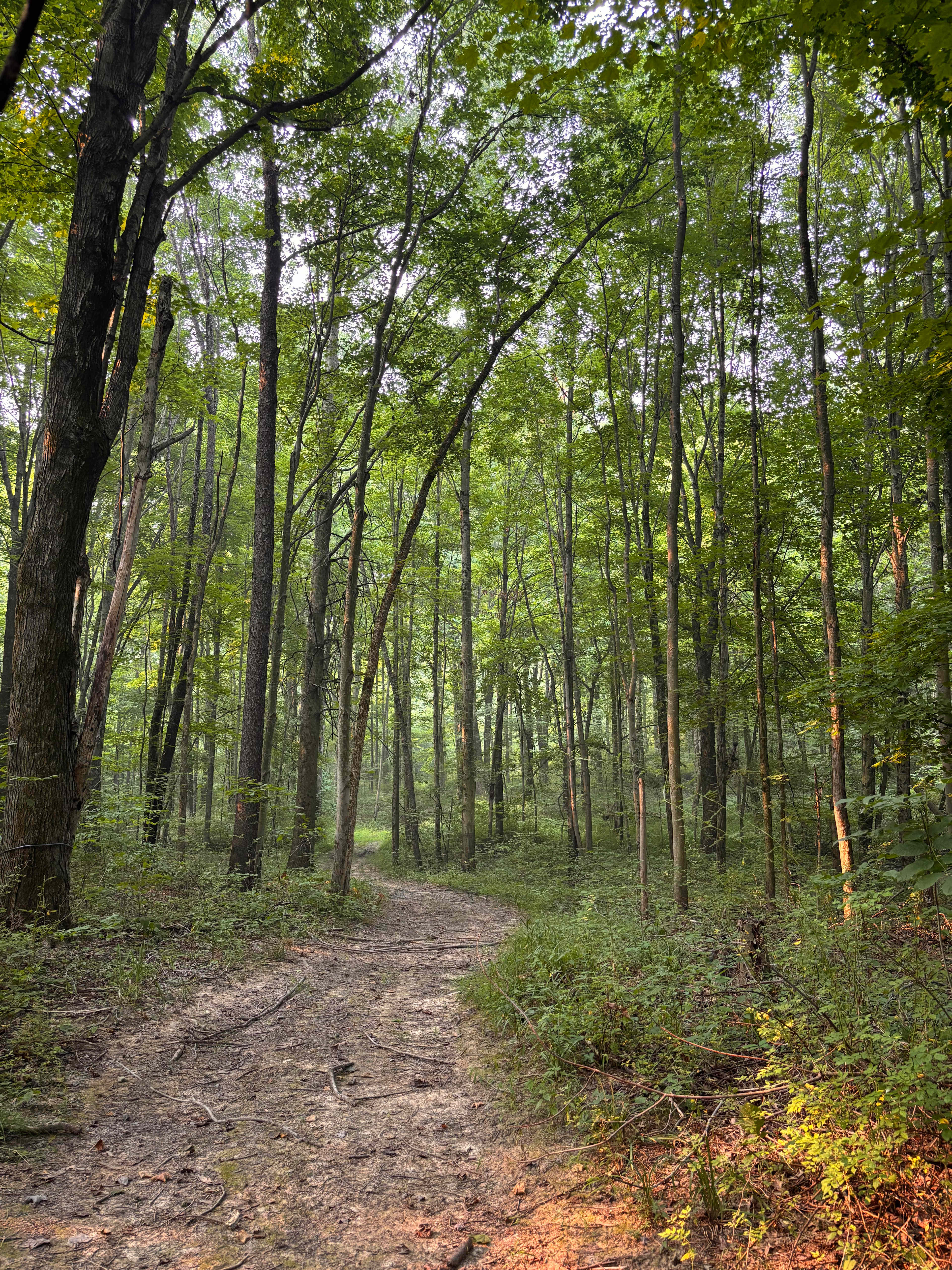 Hiking trail