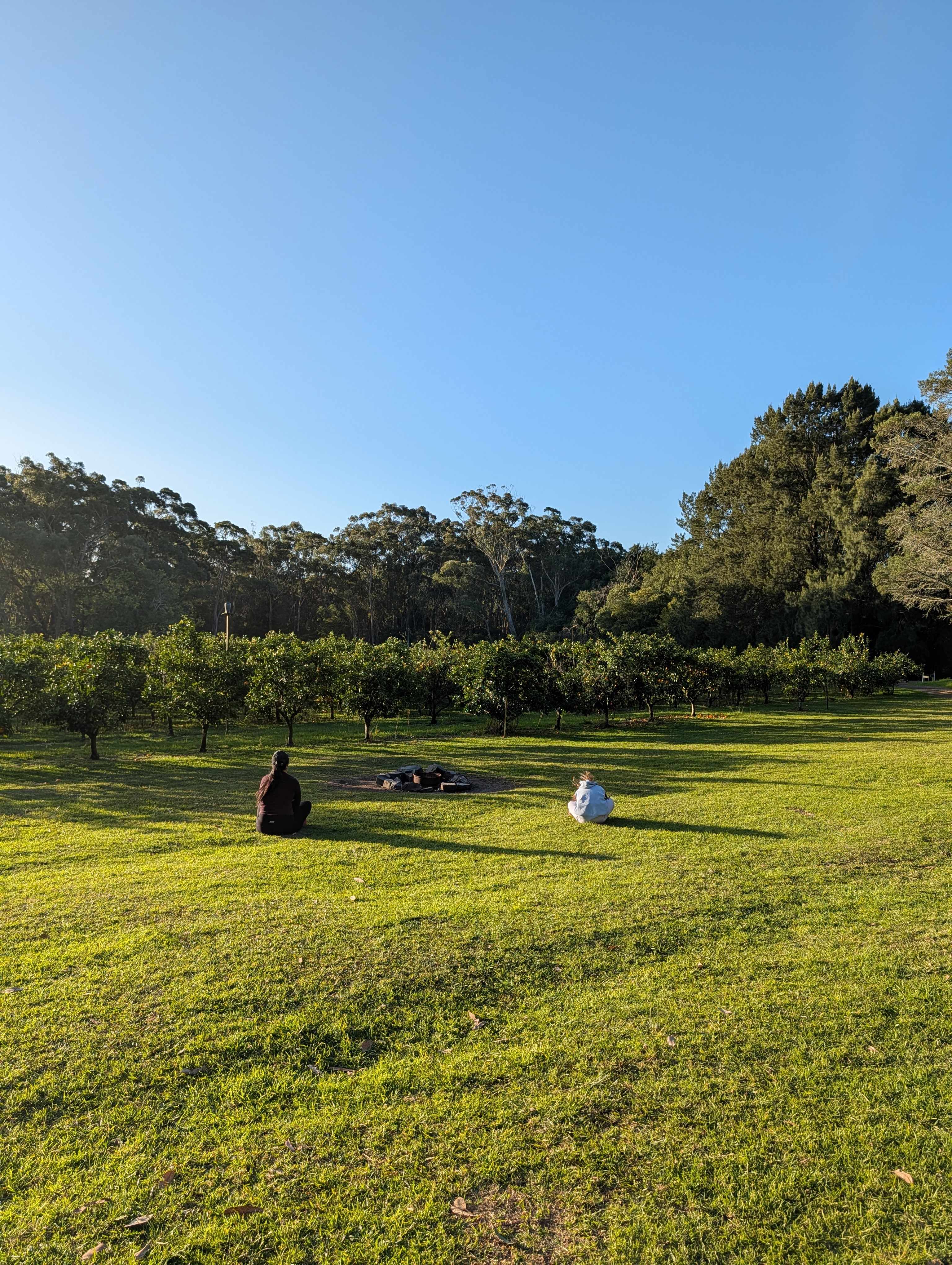 Relaxing in the Orchard