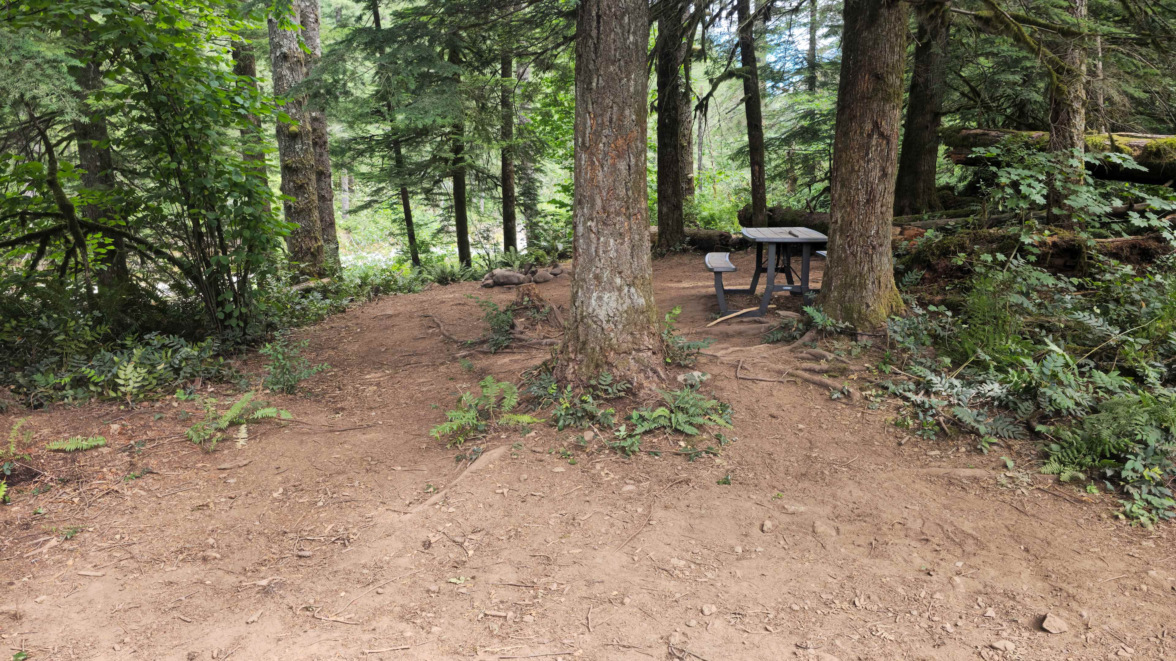 Site 20