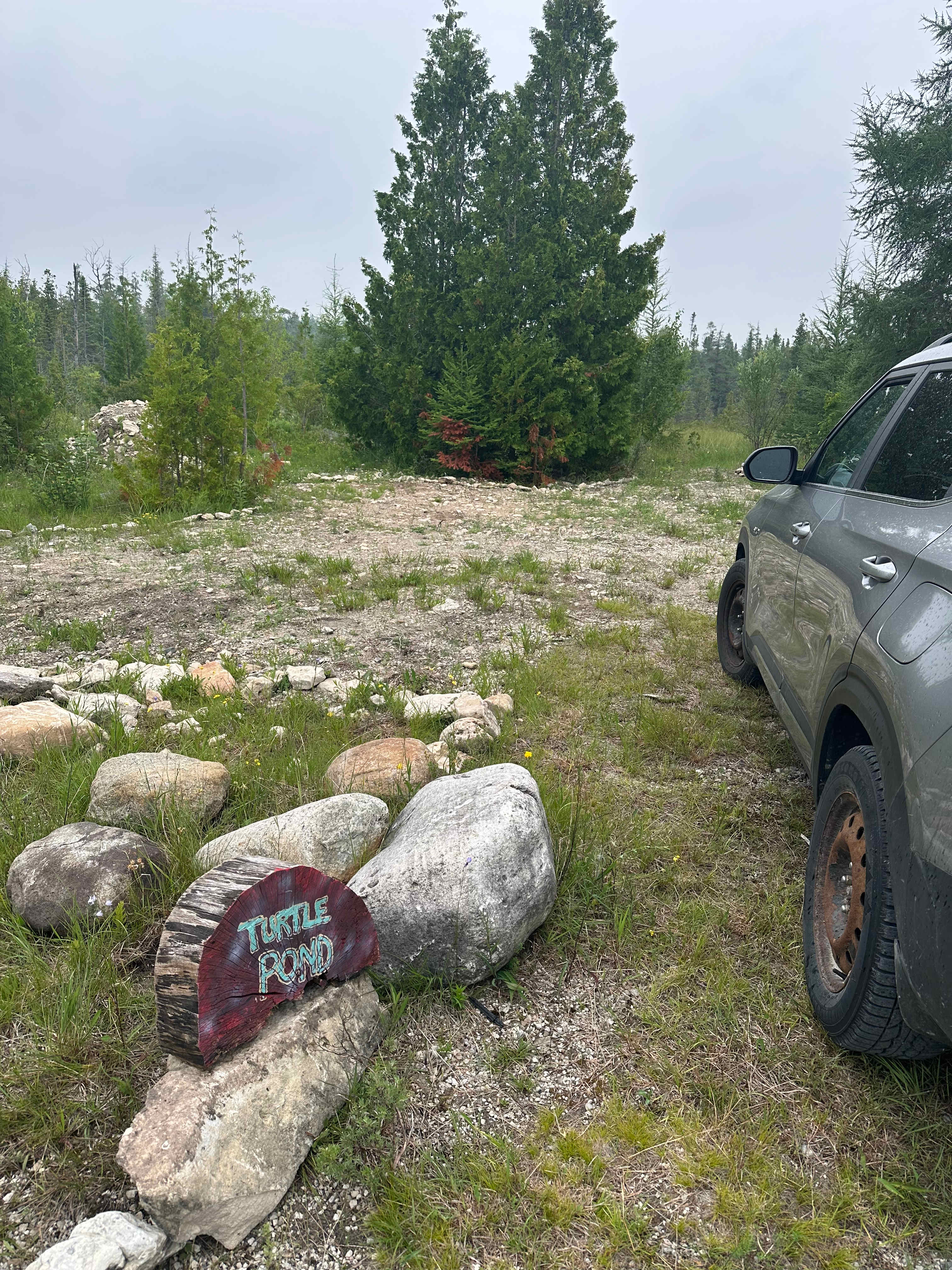 Little Pine Campsites