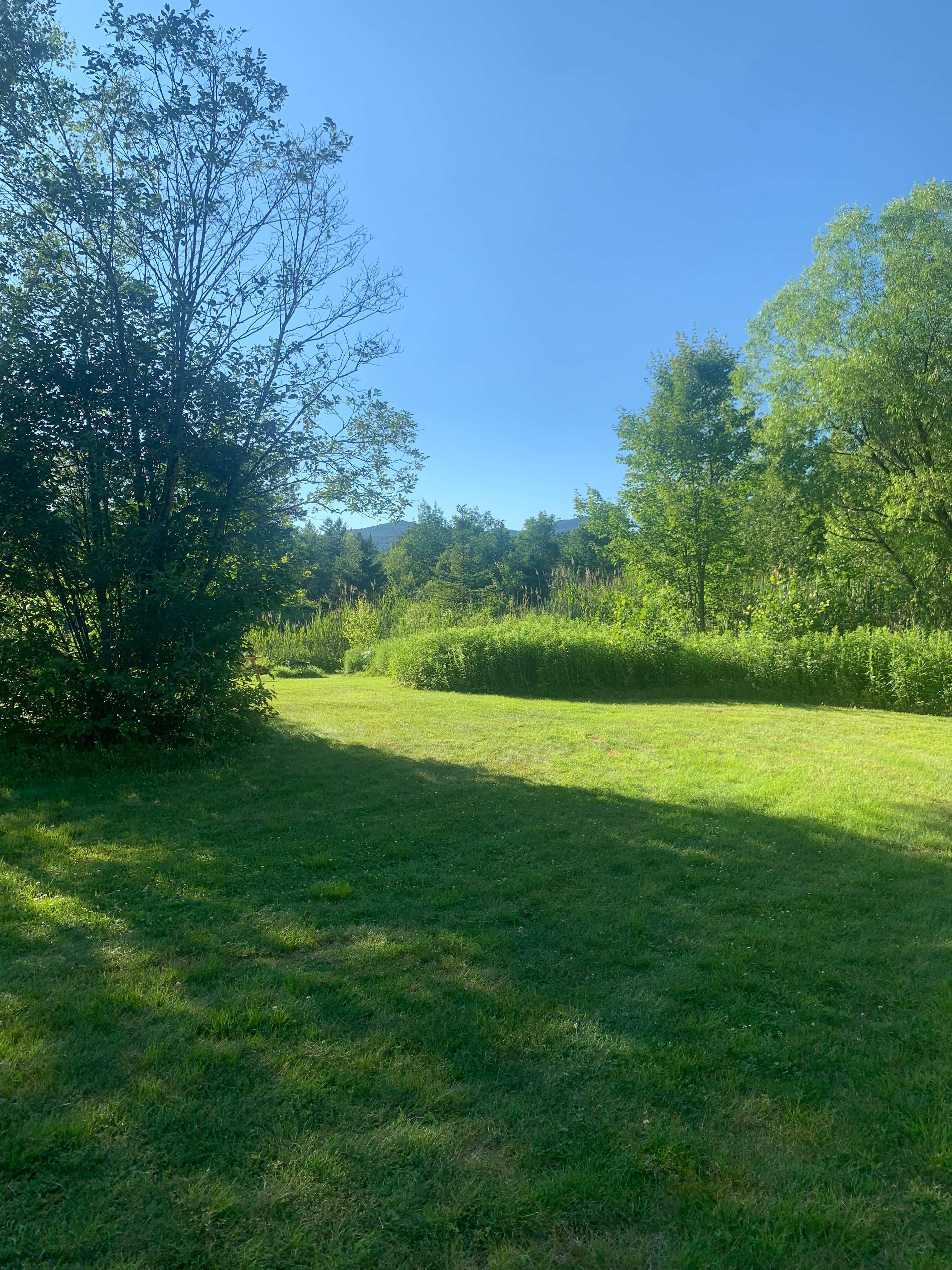 Gus's Gardens