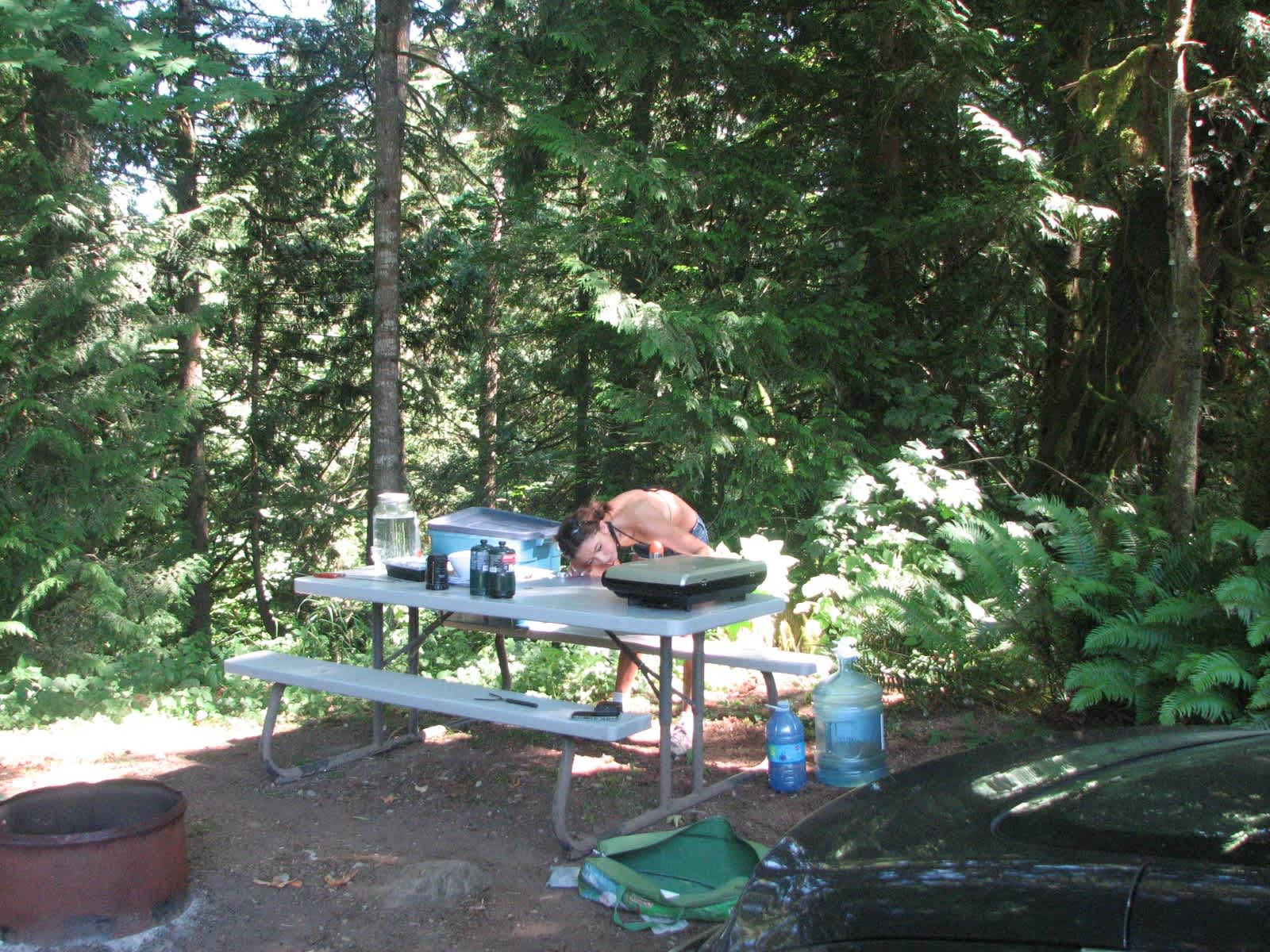 Hayward Farms