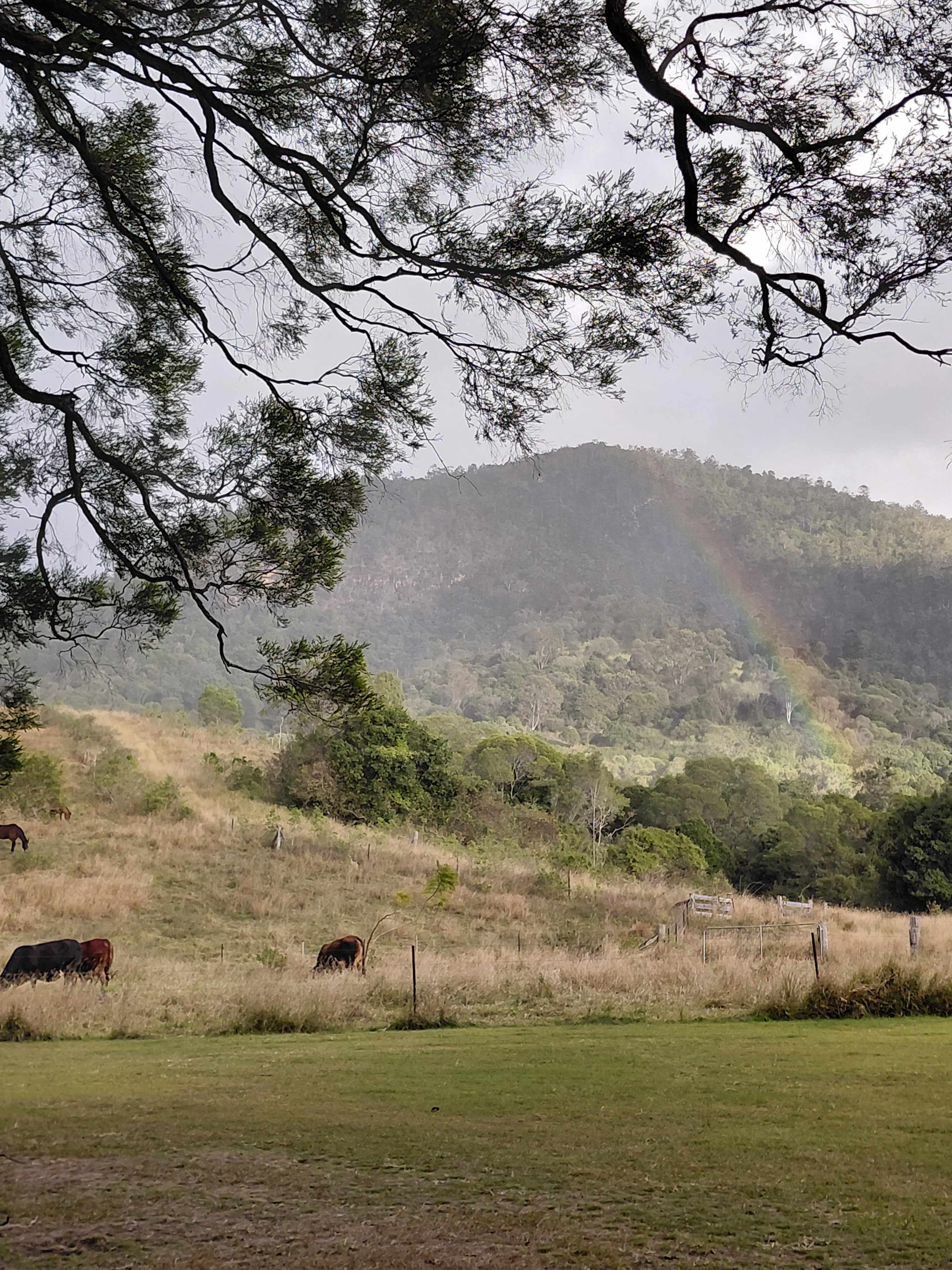 Hopevale Adventure Camping