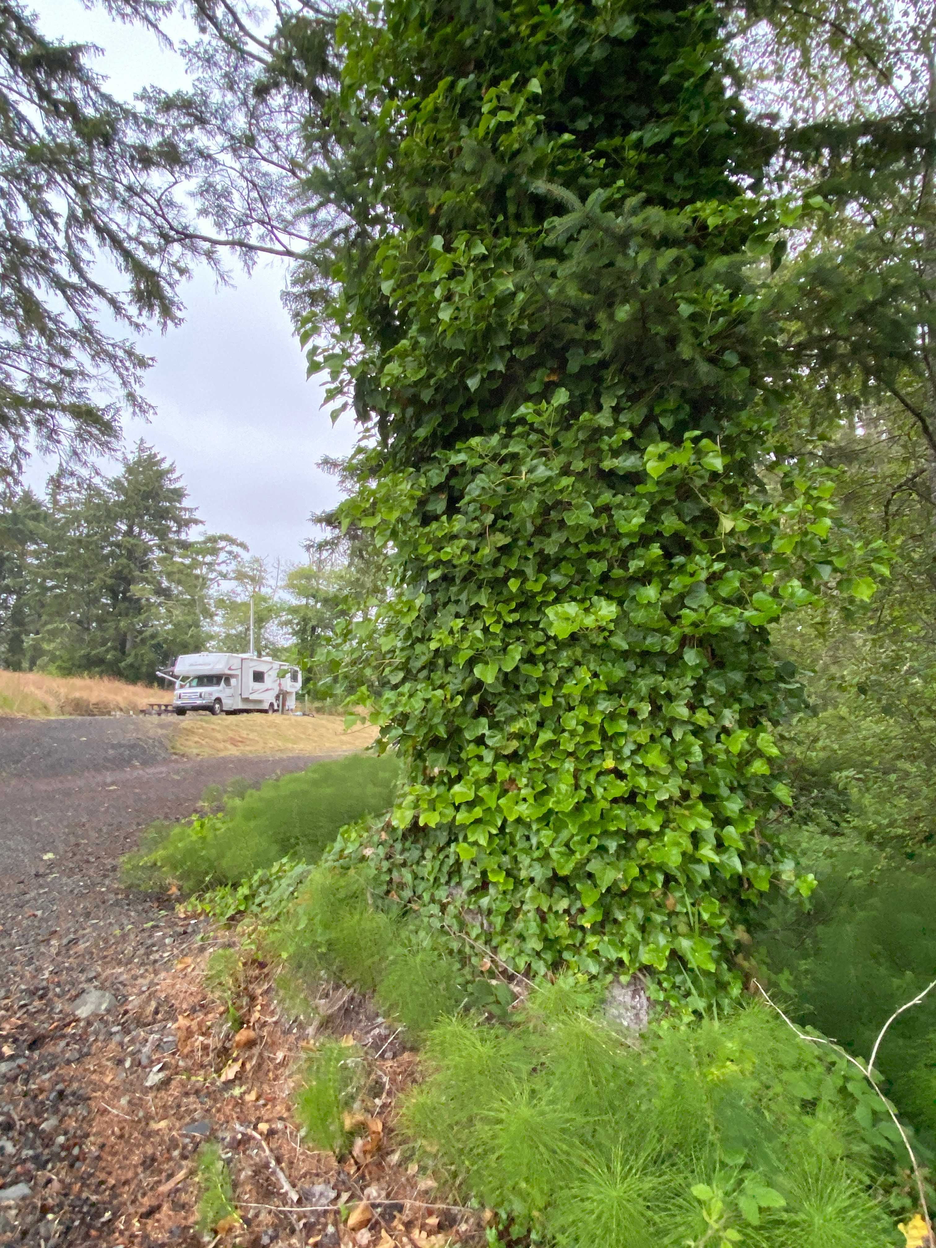 Unique Bay Front Camping - RV ONLY