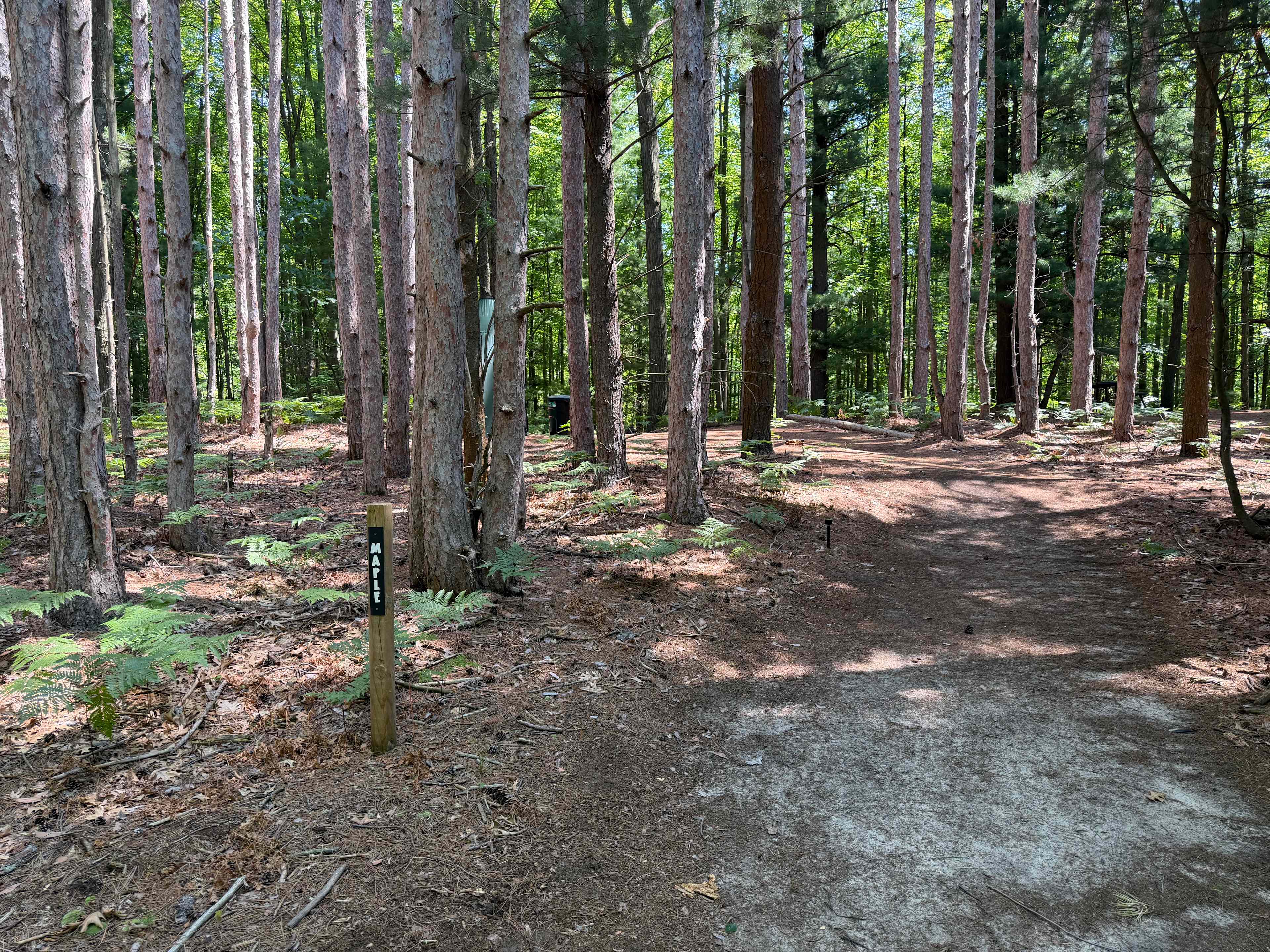 Picture of the site