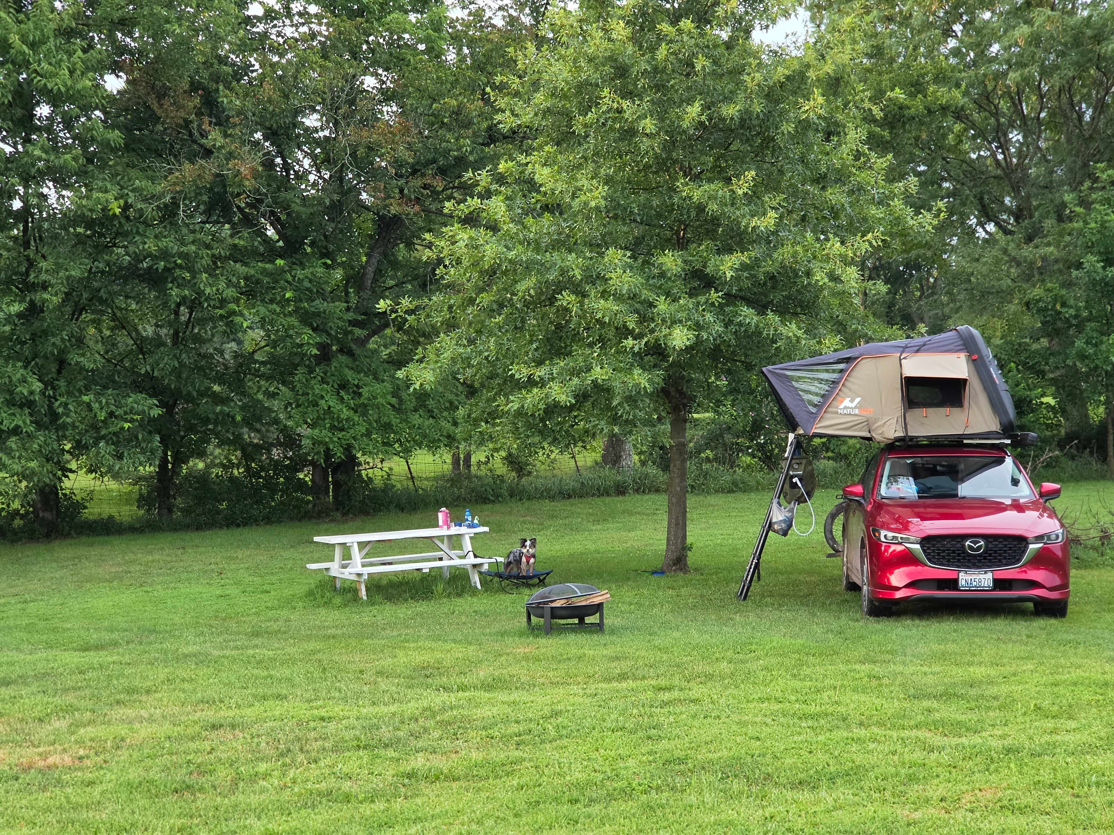 Hippie Haven Healing Retreat