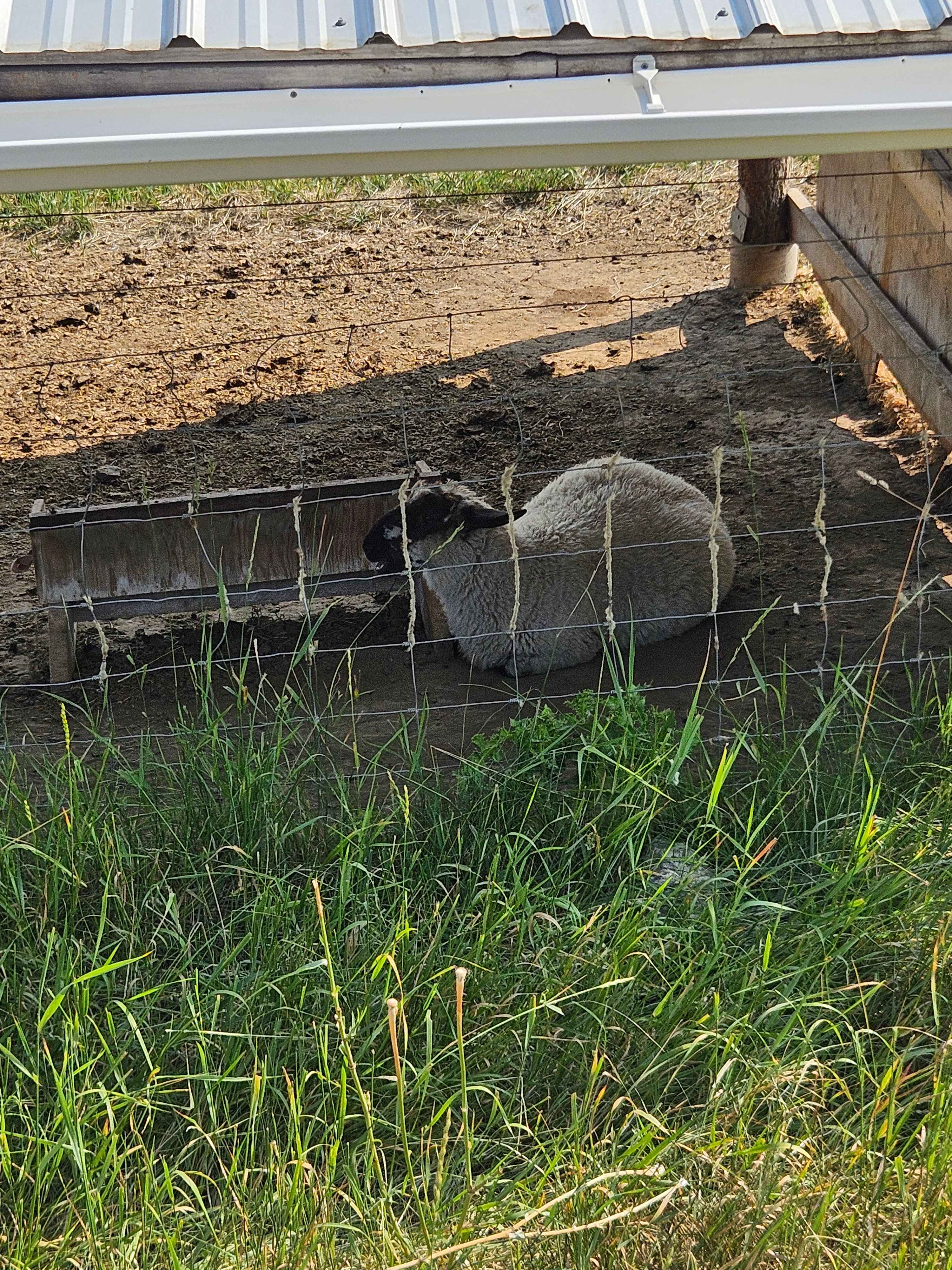 Holmwood Farm
